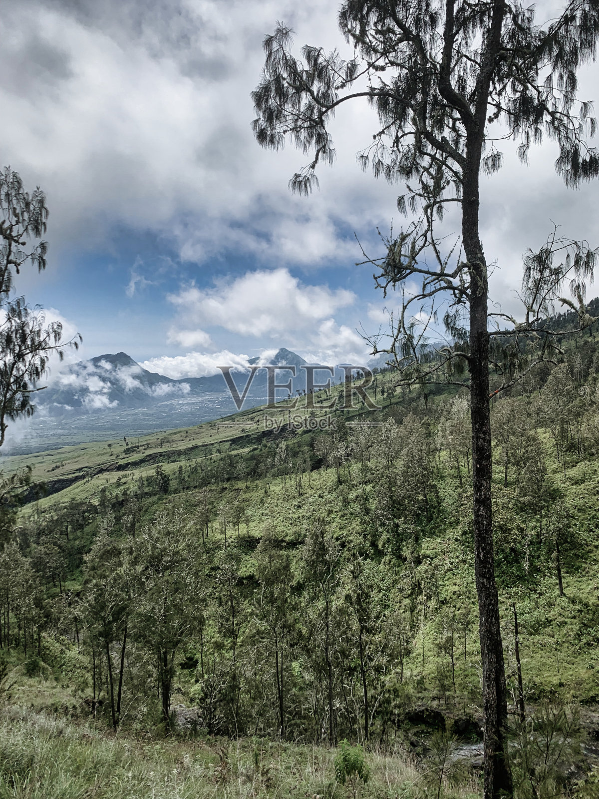 神奇的印尼照片摄影图片