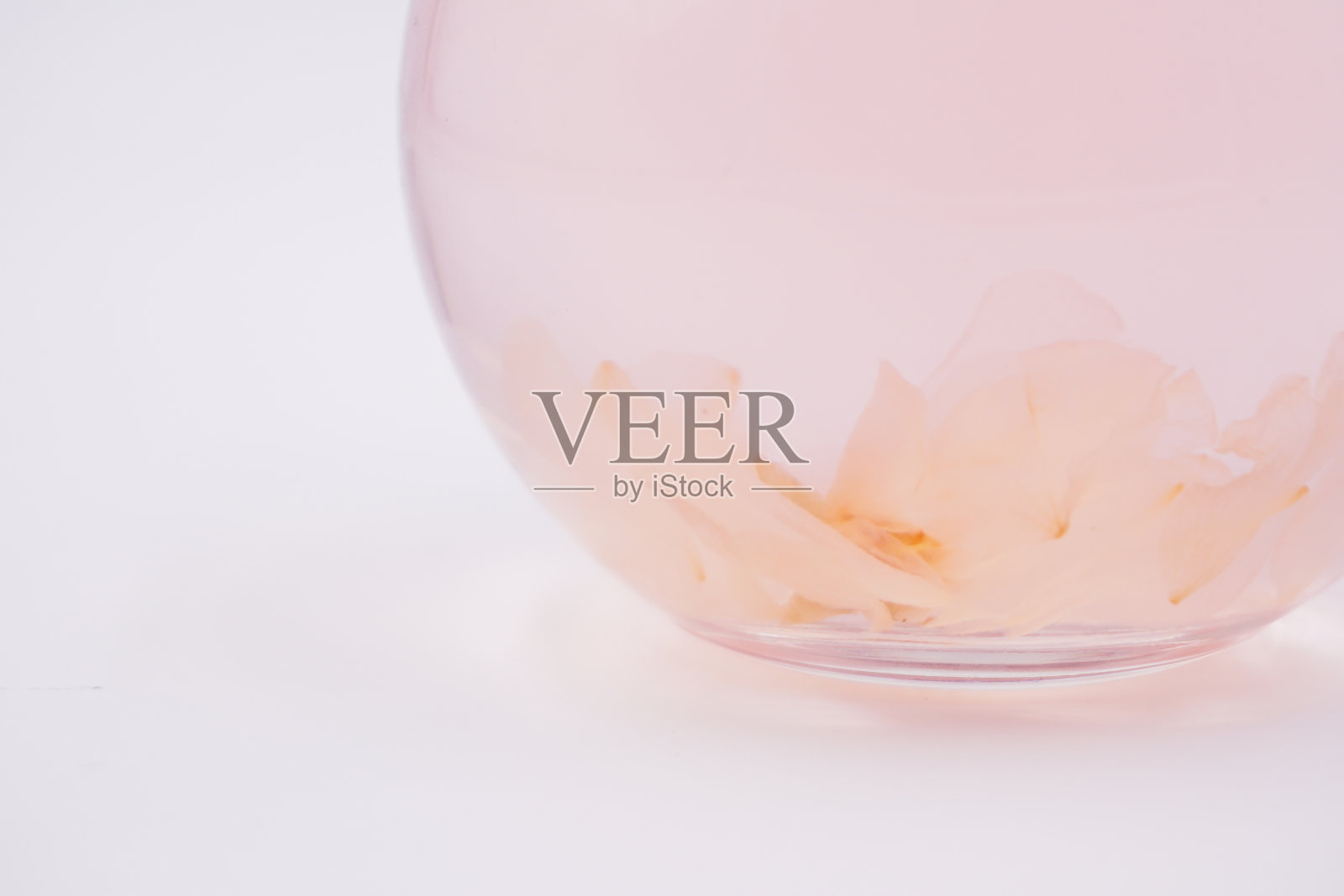 粉红樱花樱花清酒照片摄影图片