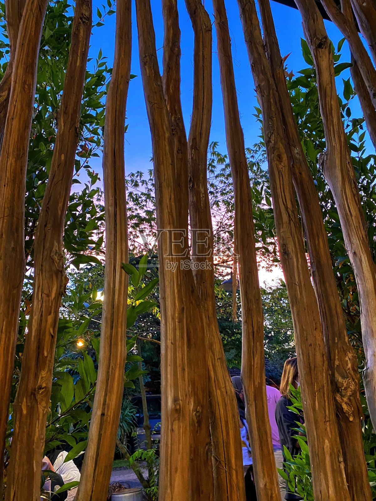 木支架照片摄影图片