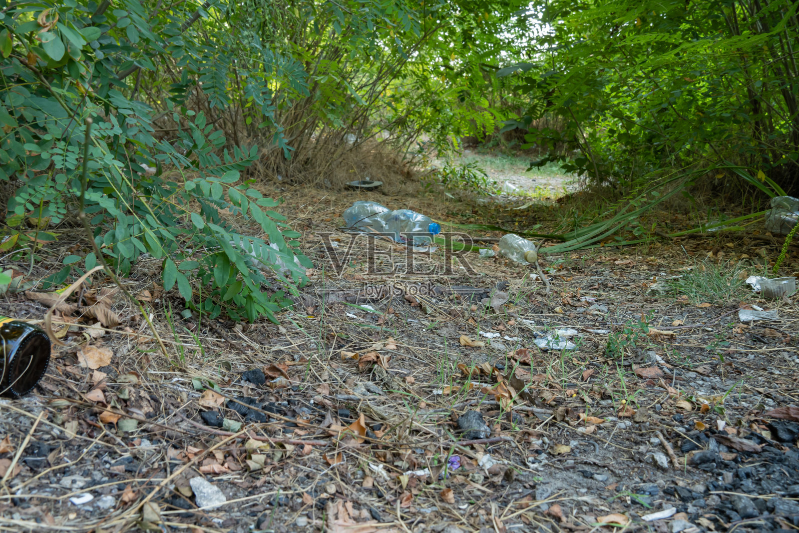 垃圾倾倒在森林里,散落在草地上。野餐后树林里的塑料垃圾。照片摄影图片