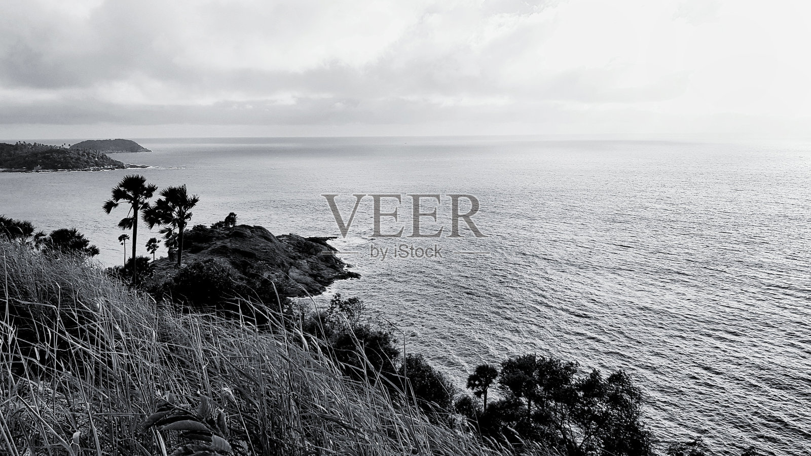 美丽的Promthep披肩与草地和棕榈树或椰子树在单色色调照片摄影图片