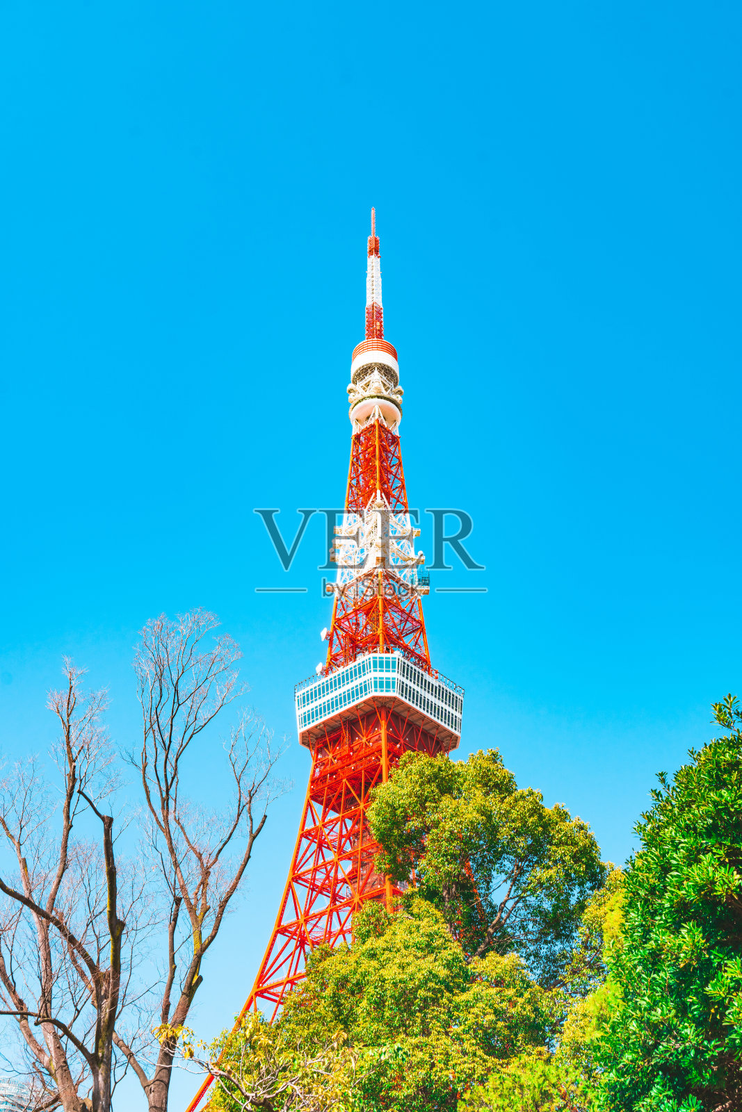 东京塔瞭望照片摄影图片