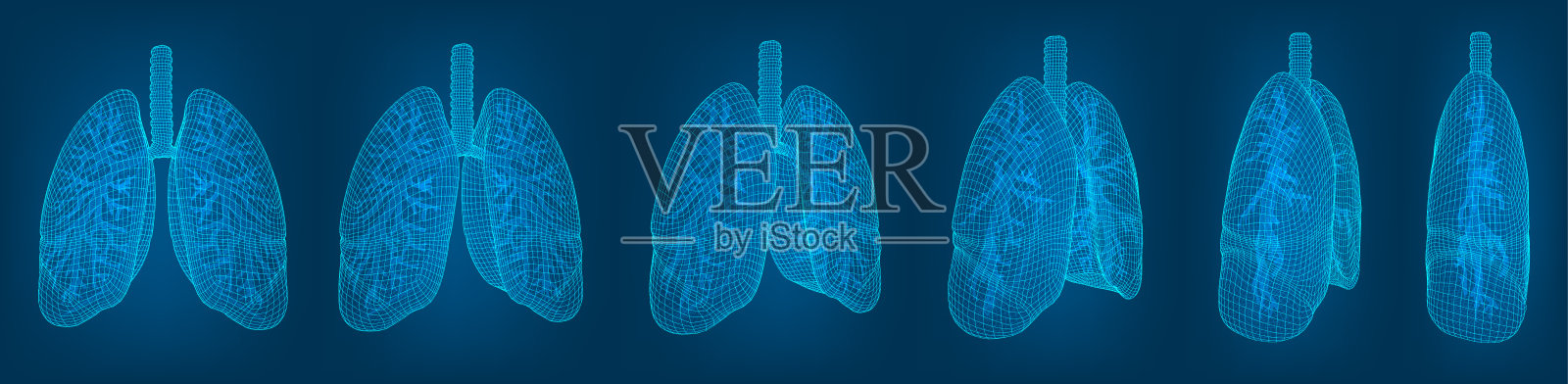 向量集。肺和支气管。设计用3d元素插画图片素材