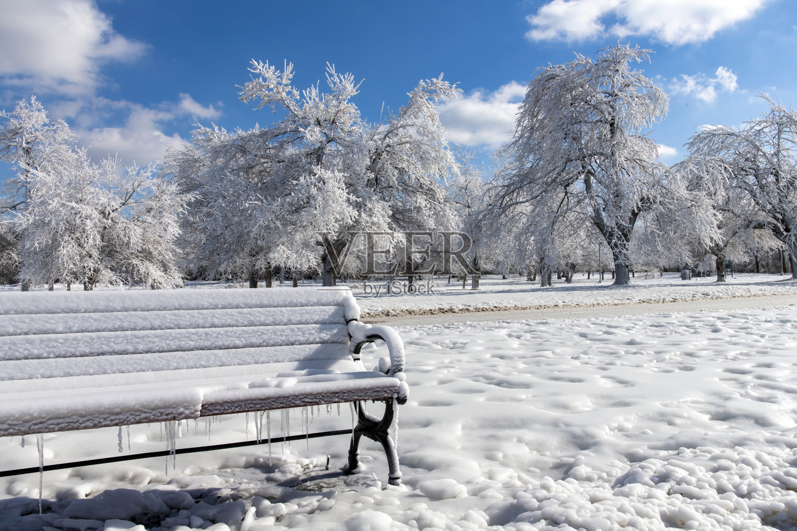 在展望点的地面上,结霜的白色树木和积雪照片摄影图片