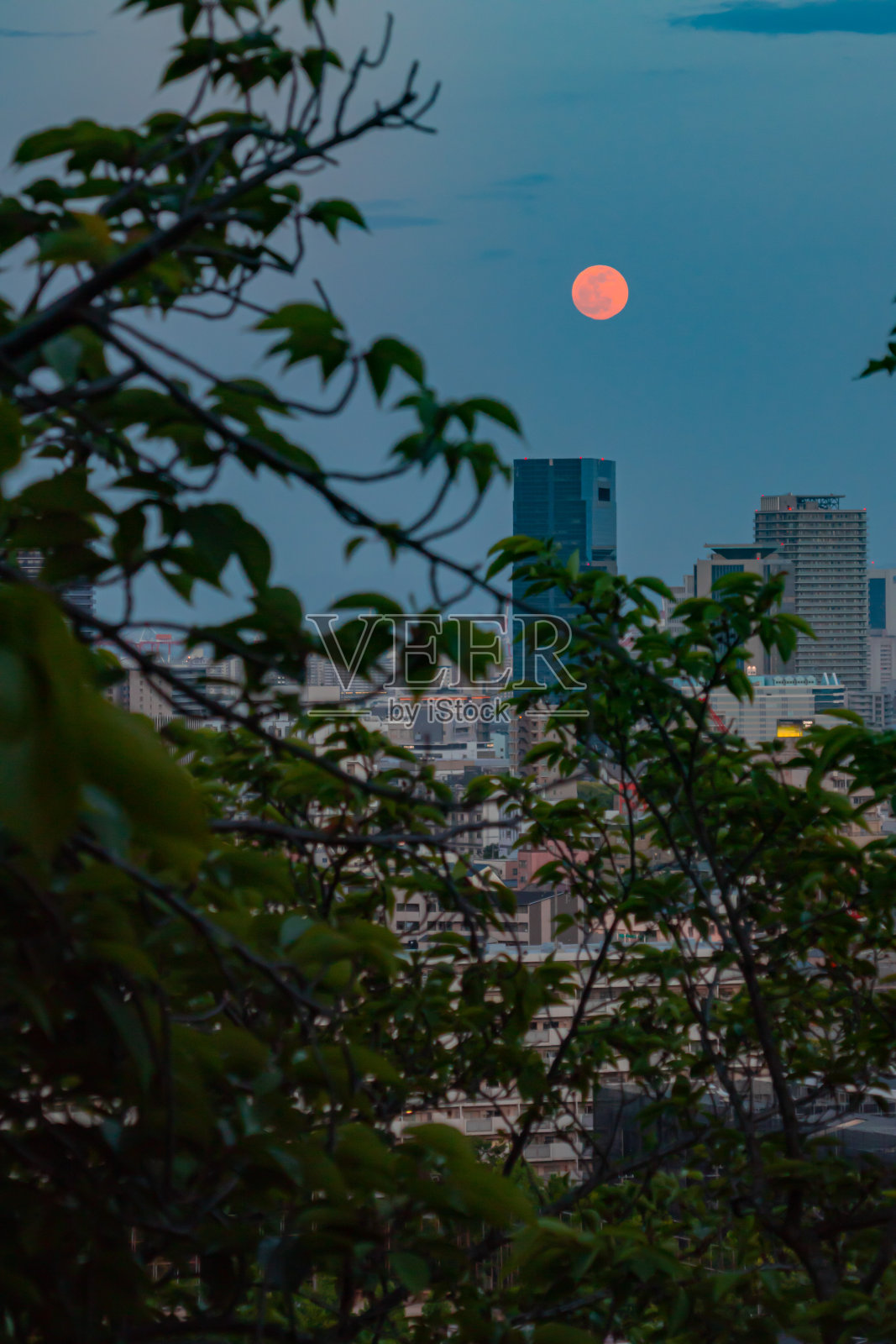 黄昏的城市景观照片摄影图片