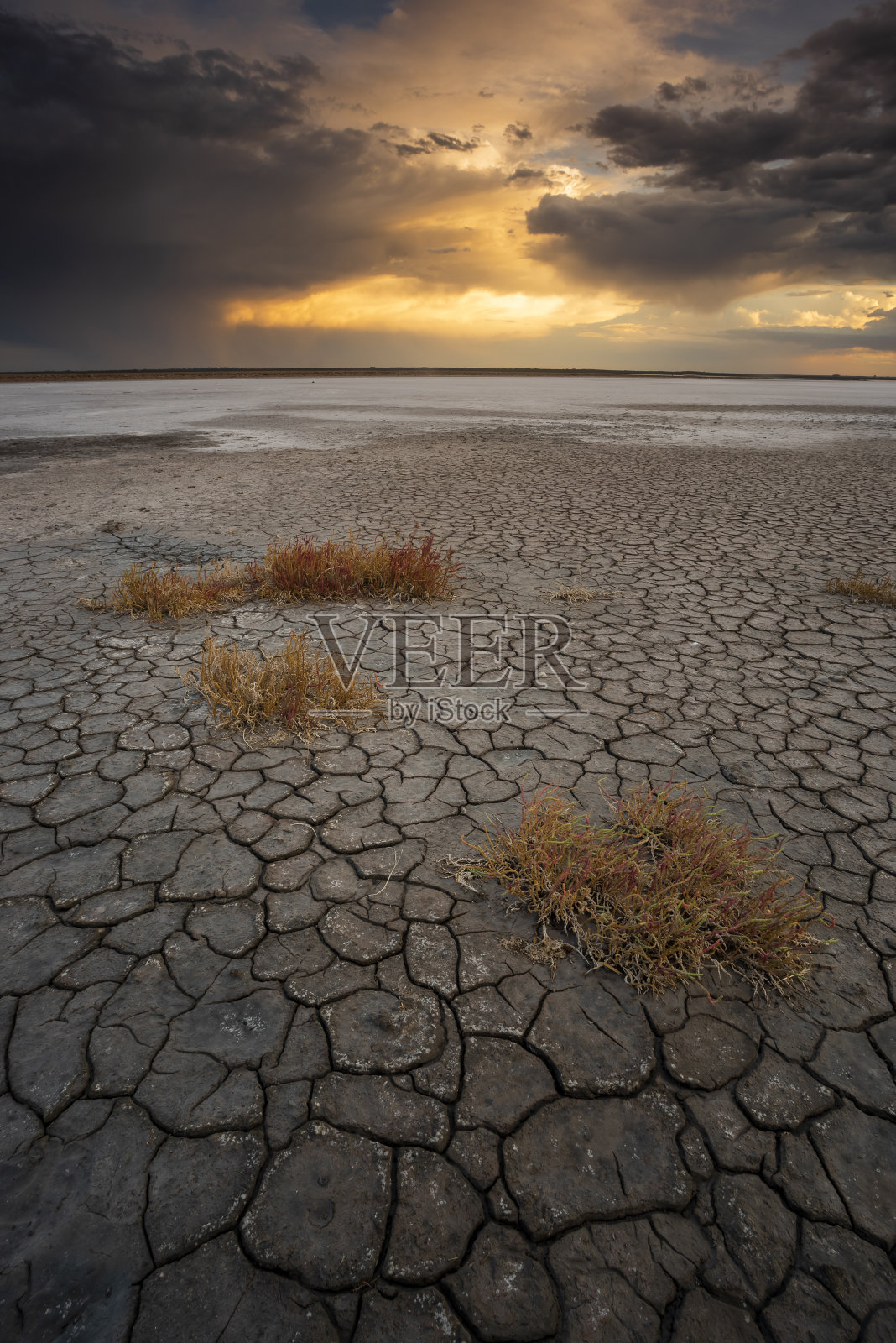 阿根廷巴塔哥尼亚潘帕斯省潘帕斯泻湖破碎的干燥土壤。照片摄影图片