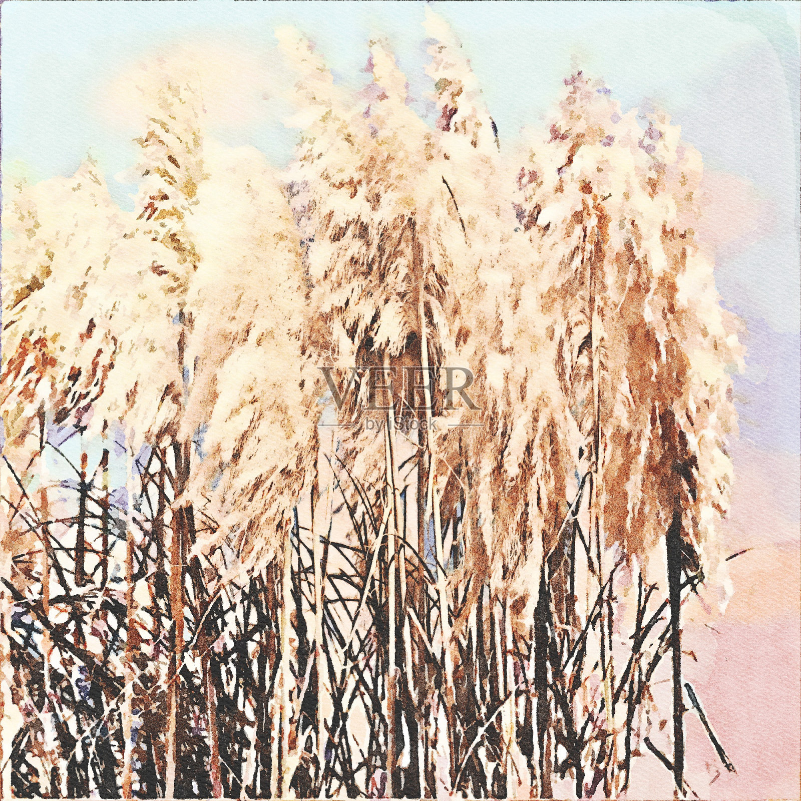 水彩画-潘帕斯草原背景照片摄影图片