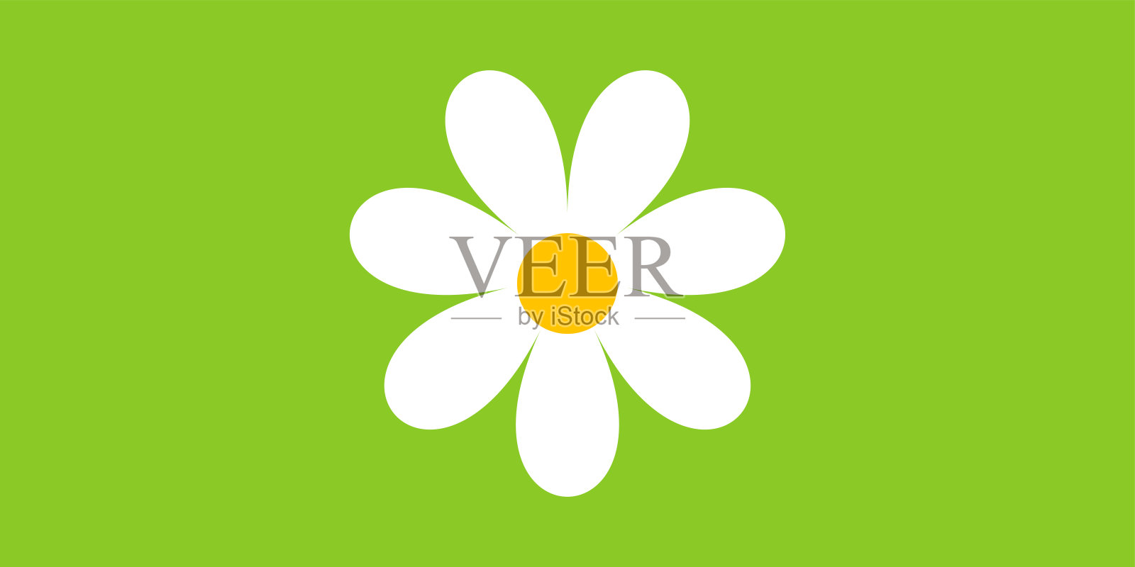 甘菊,花伟大的设计为任何目的。绿色背景上的白色甘菊卡通插图。插画图片素材