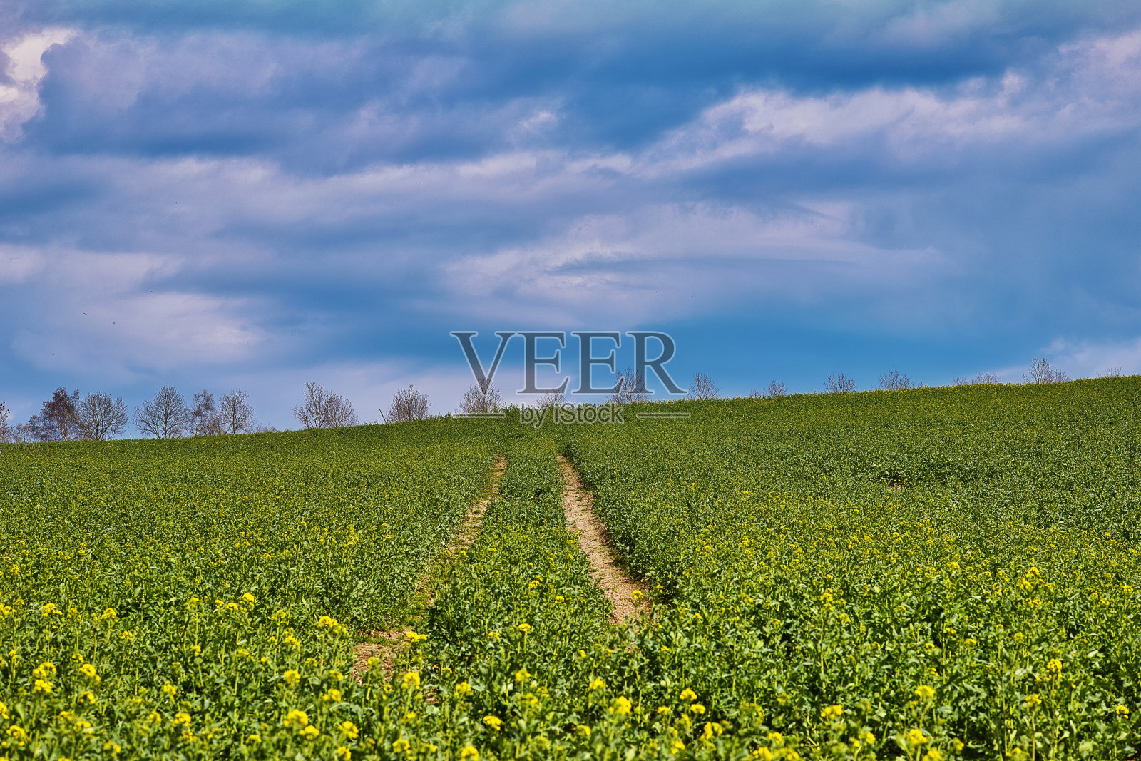 伦斯泰格的春季印痕照片摄影图片
