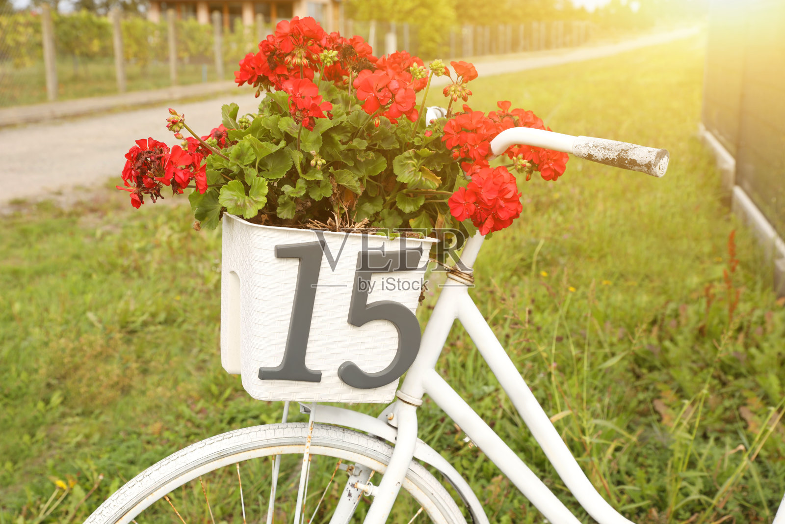 户外花篮上有15号的白色自行车照片摄影图片