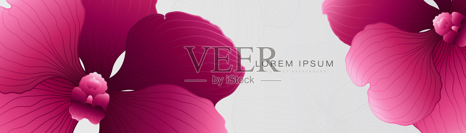 白色背景上的粉红色兰花。现代水平横幅模板设计。适用于海报,封面,横幅,宣传册,广告,标题,邀请,演示,网站。矢量图插画图片素材