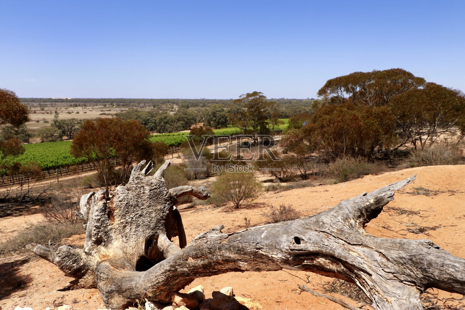 澳大利亚干旱景观照片摄影图片