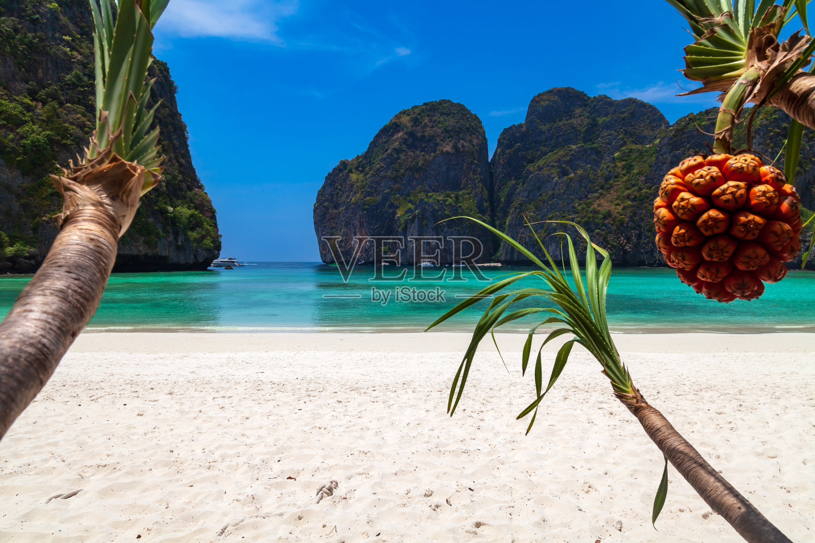 传说中的玛雅湾海滩没有人拥有美丽的沙滩,清澈的绿松石水和近距离观看棕榈。联合国教科文组织世界遗产。照片摄影图片