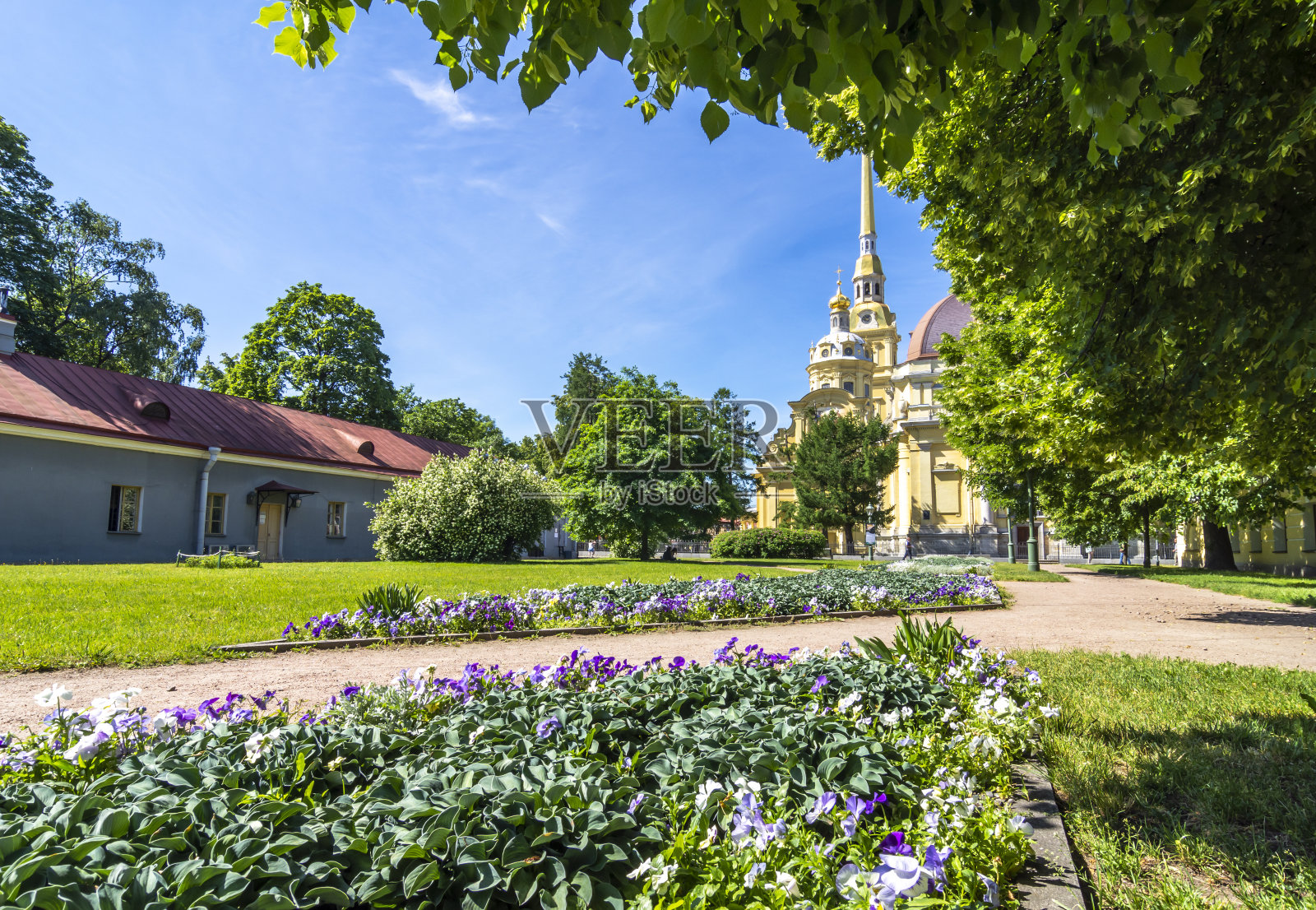 位于俄罗斯圣彼得堡彼得和保罗要塞境内的彼得和保罗大教堂照片摄影图片