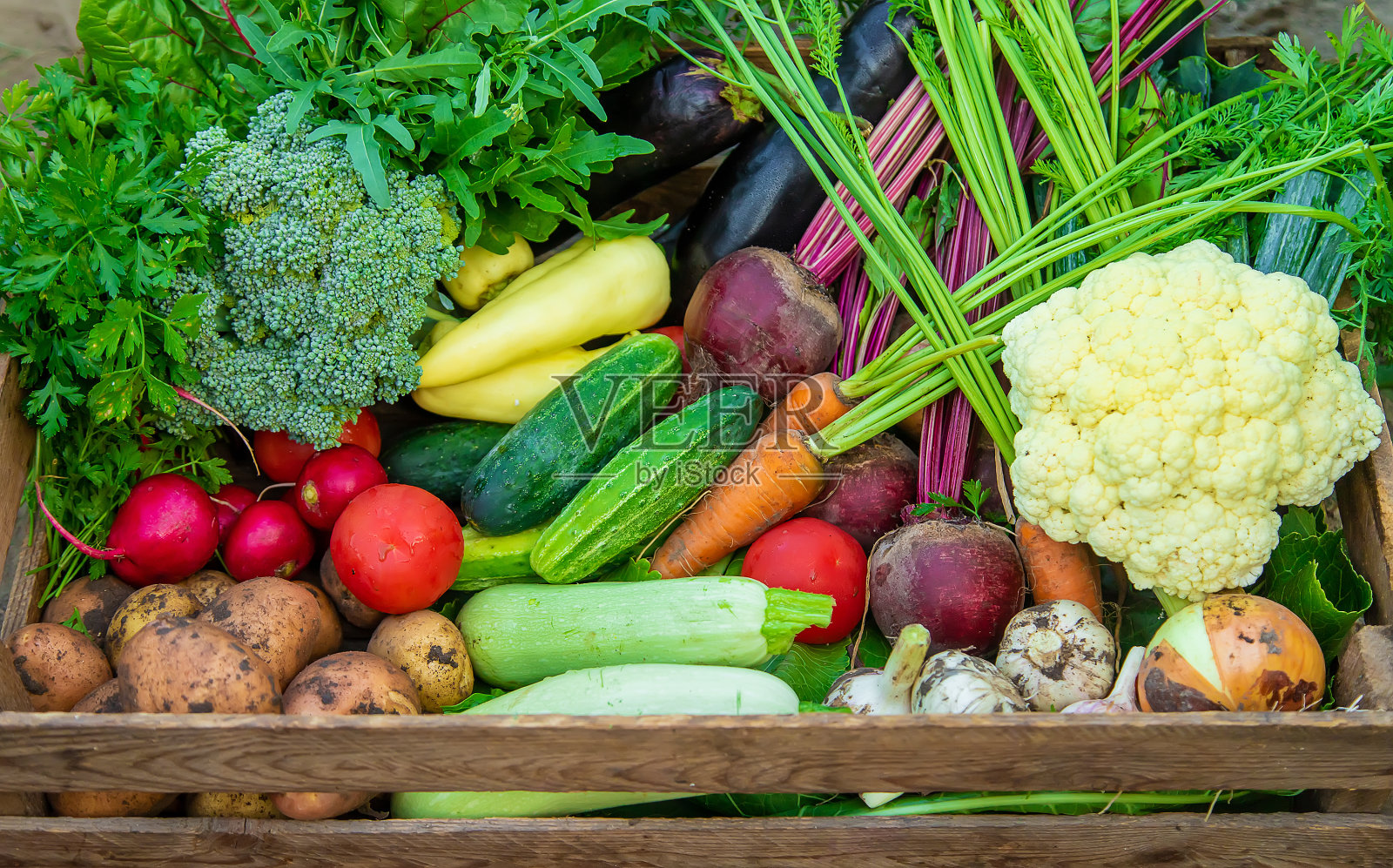 一个男农民在花园里手里拿着蔬菜。有选择性的重点。照片摄影图片