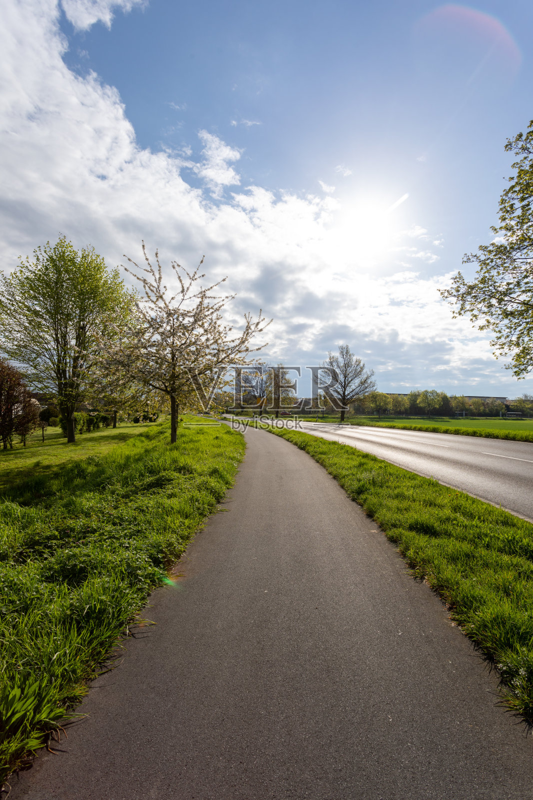德国北威州,一个阳光明媚的早晨,一条乡村公路下的自行车道照片摄影图片