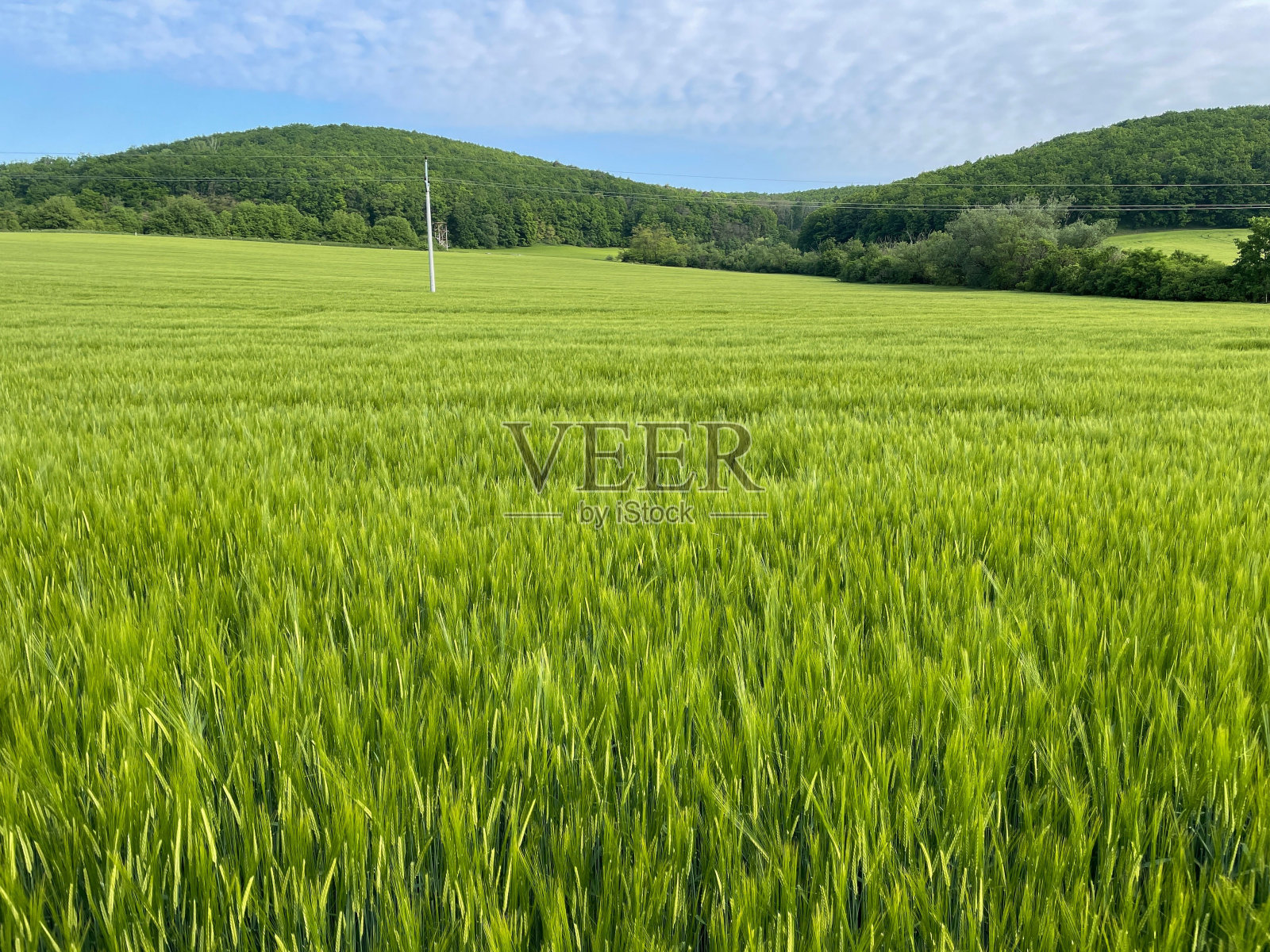 美丽的风景,以绿色的田野为背景,群山环绕。照片摄影图片