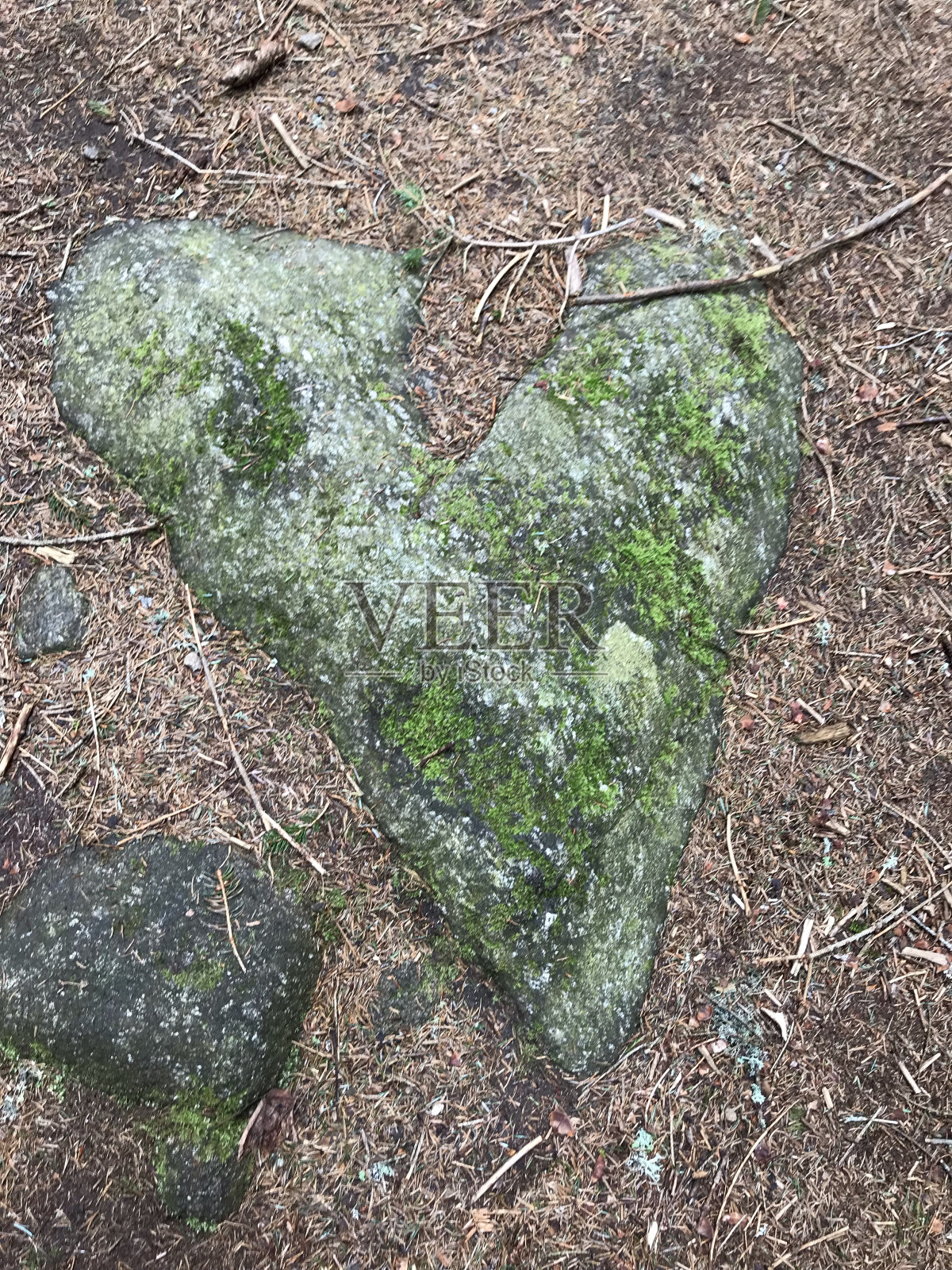 花照片摄影图片