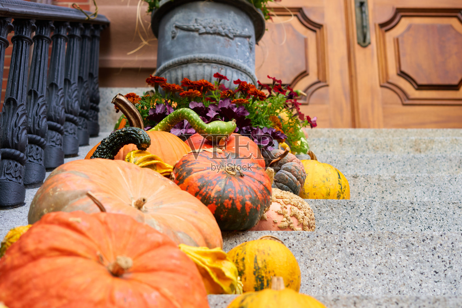 南瓜和金石榴照片摄影图片