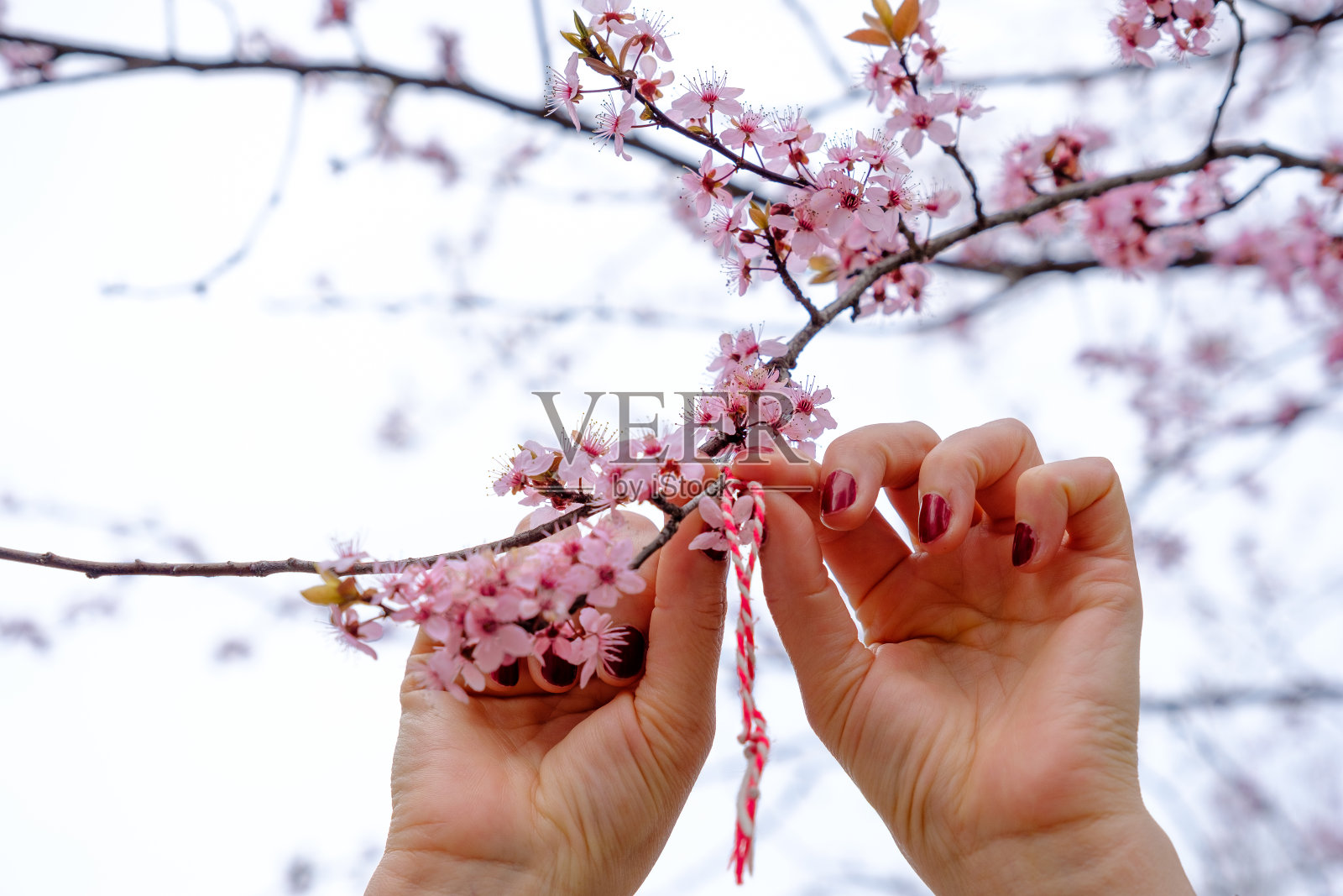 保加利亚国家护身符,与春天的第一天有关照片摄影图片
