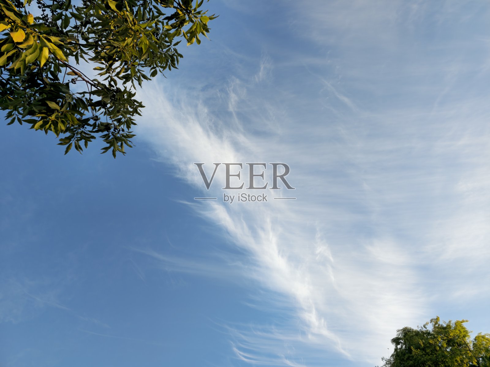 天空中尾巴状的云照片摄影图片