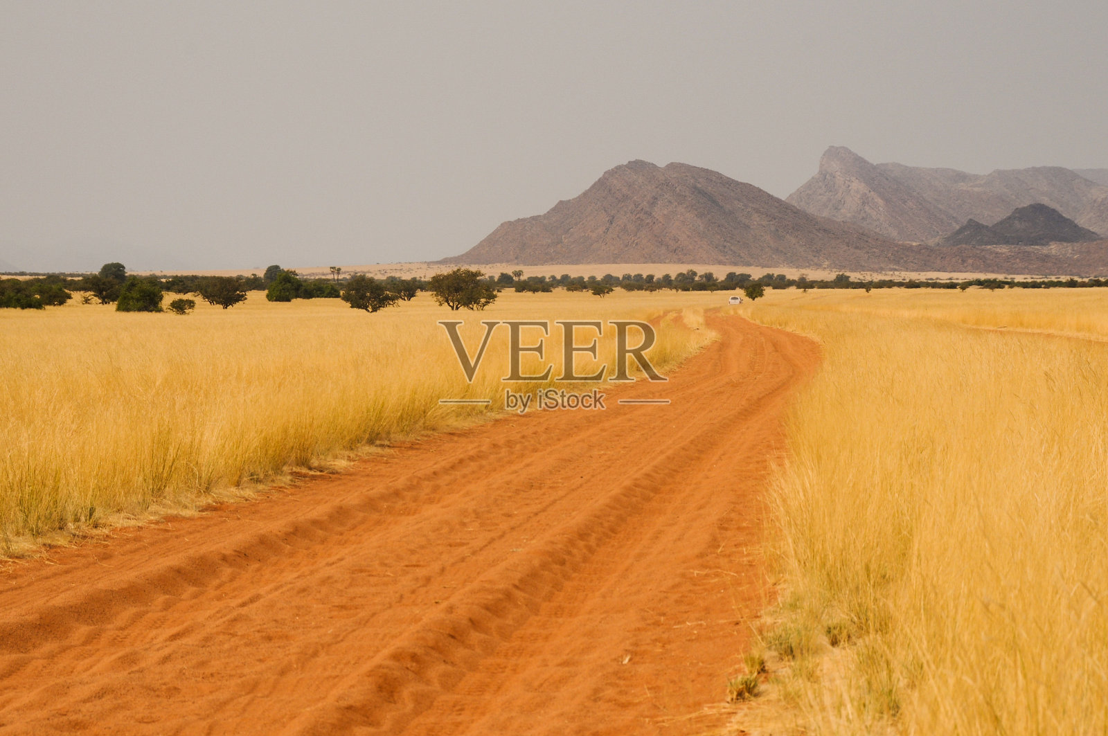 大草原之路照片摄影图片