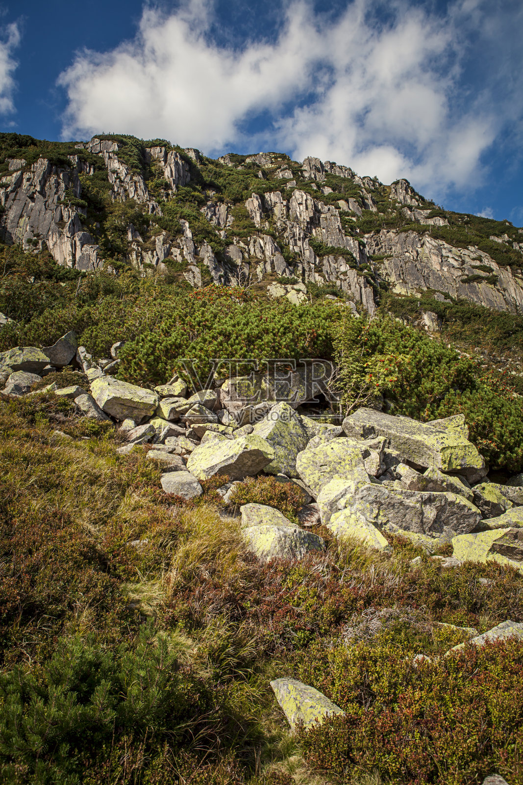 美丽的山景。积极、生态、摄影旅游的理念照片摄影图片
