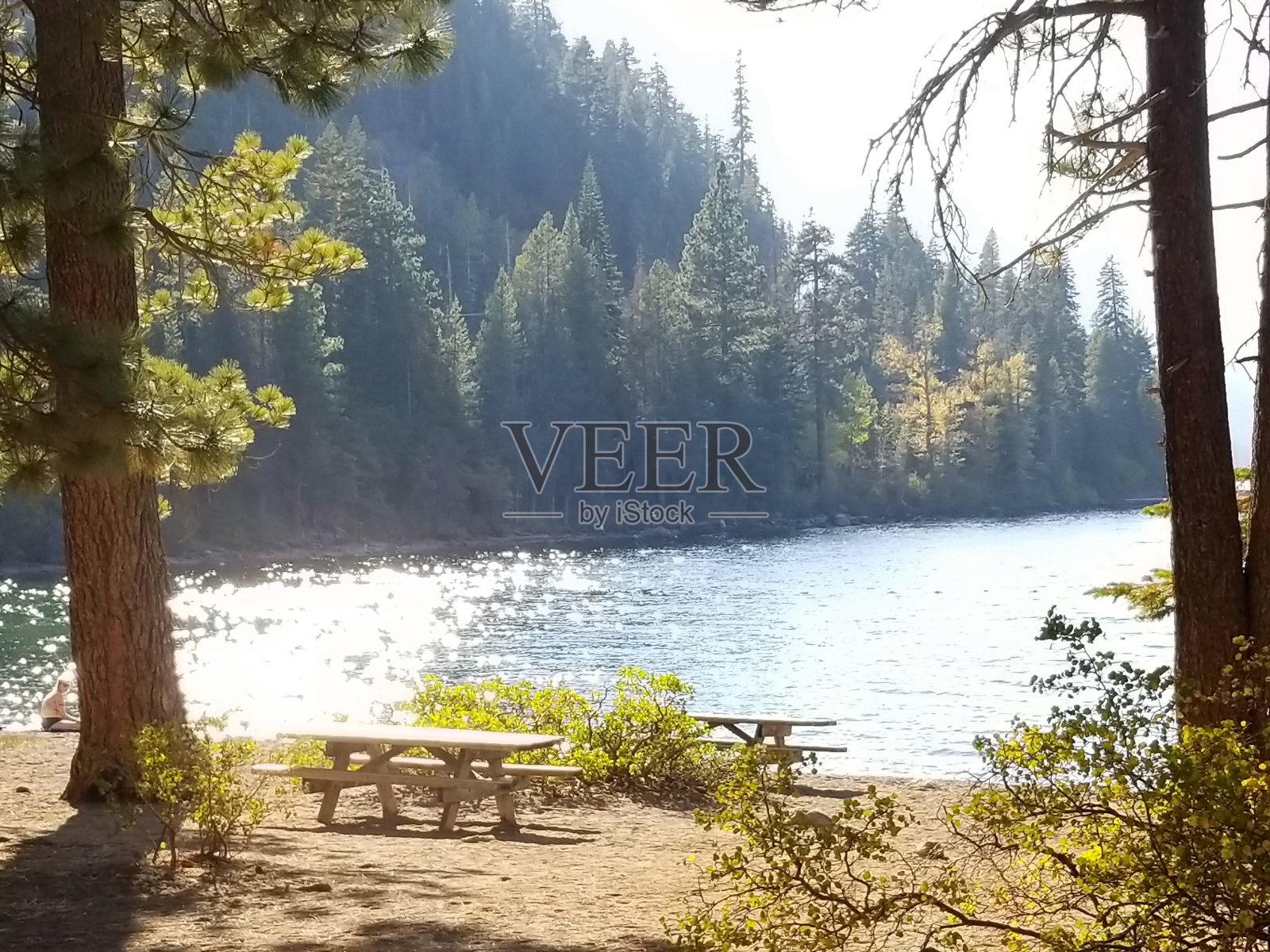 太浩湖边的野餐桌照片摄影图片
