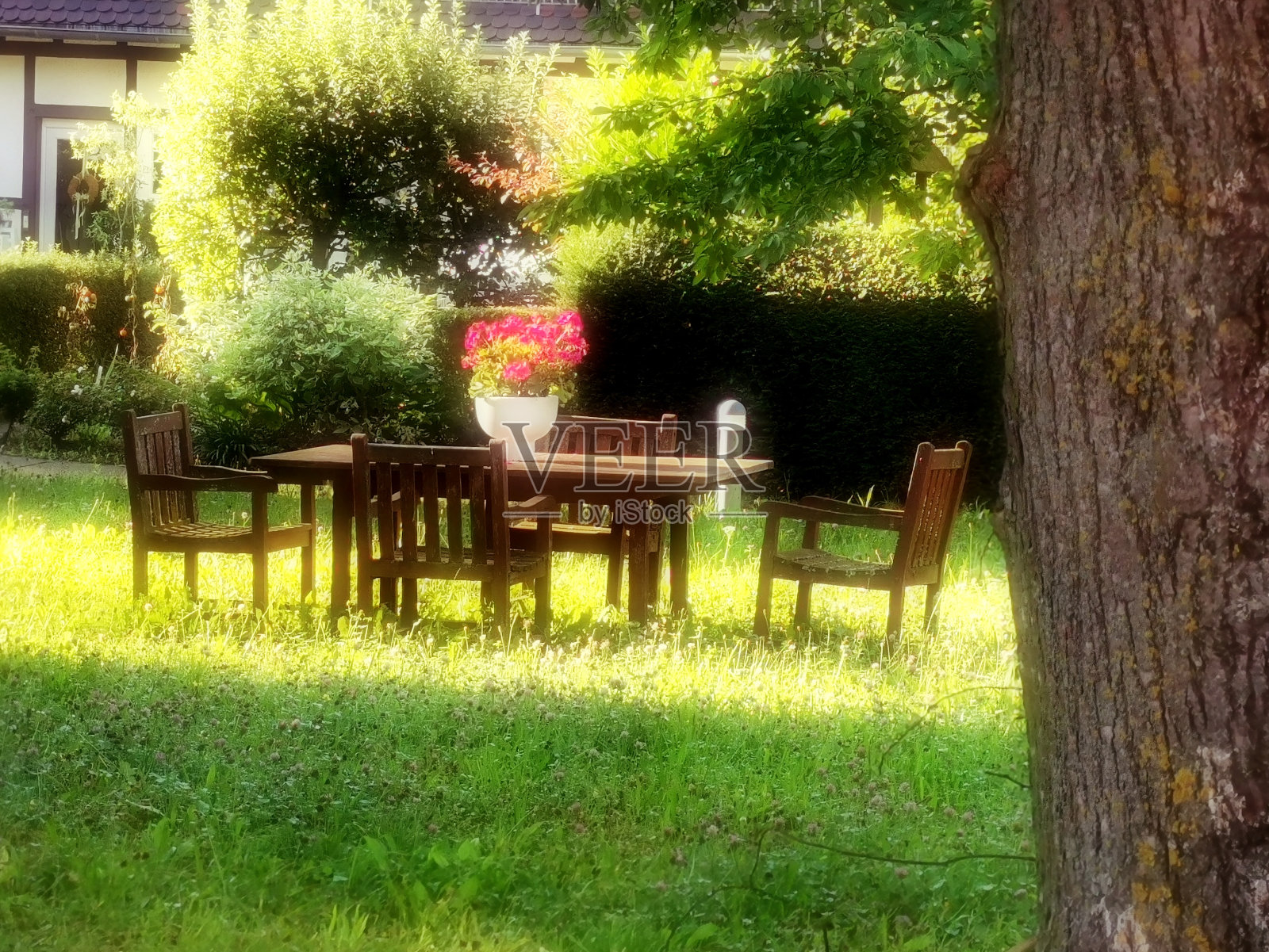 梦幻花园,放松心情照片摄影图片