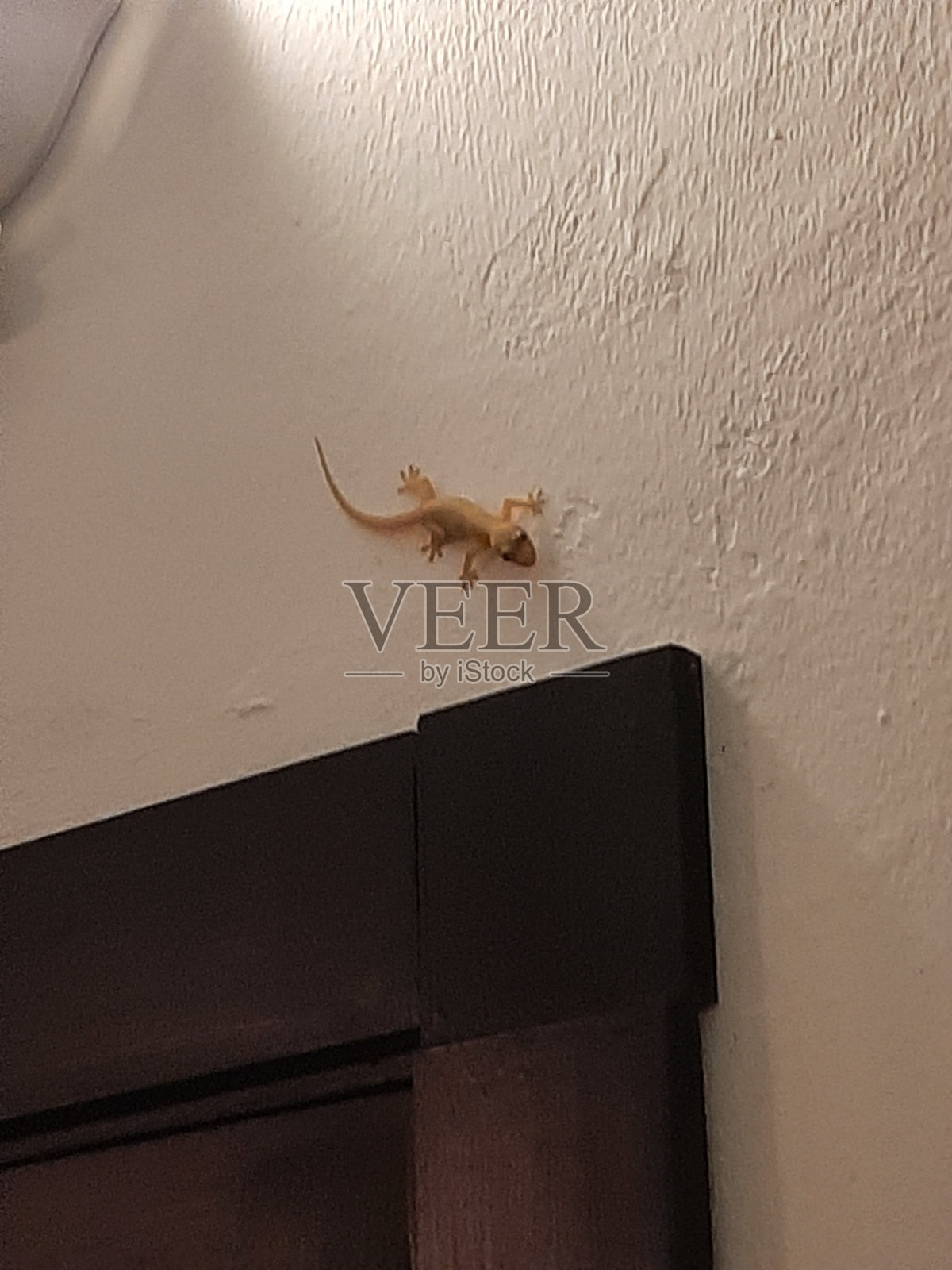 加勒比照片摄影图片