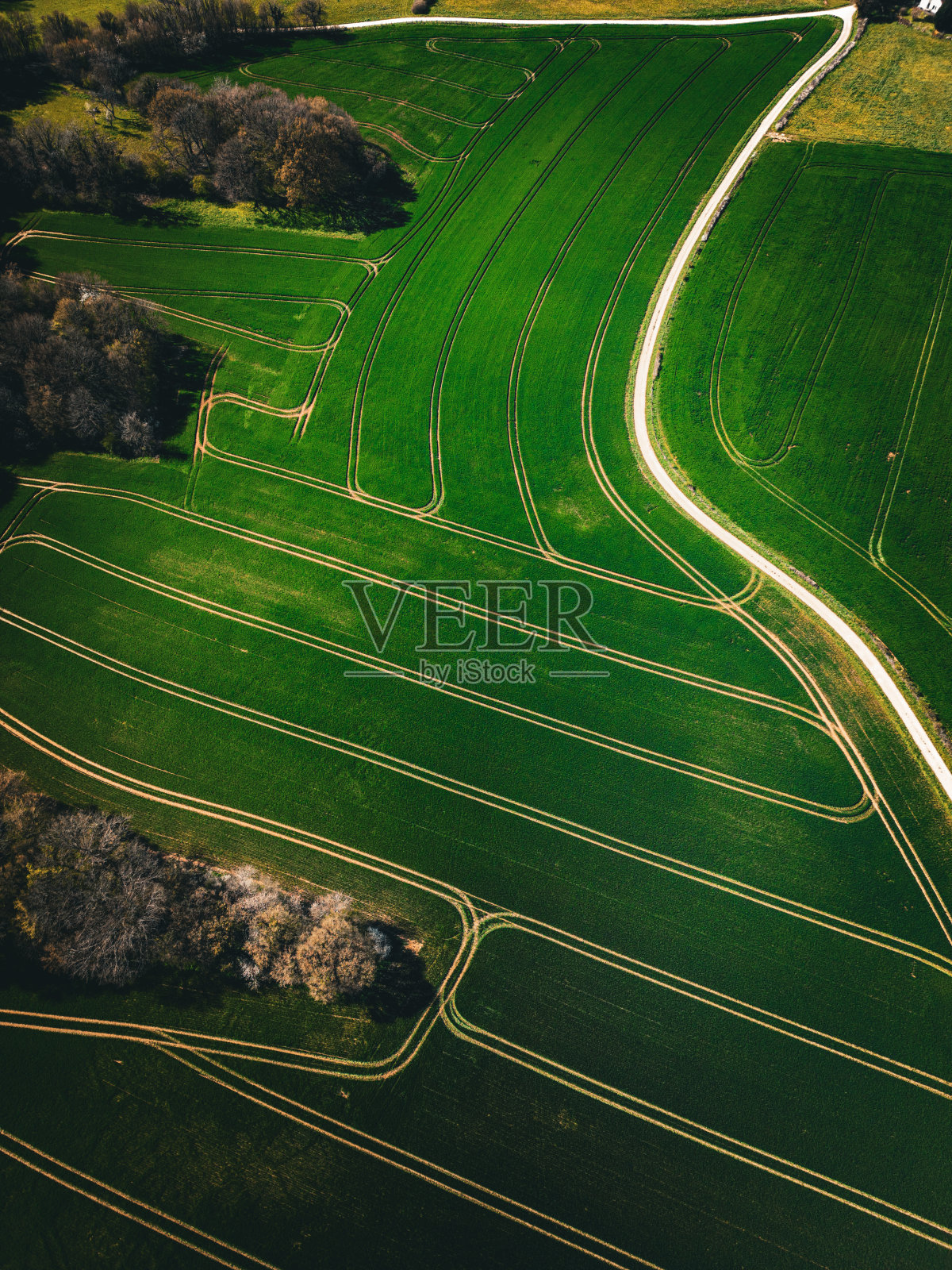 行字段照片摄影图片