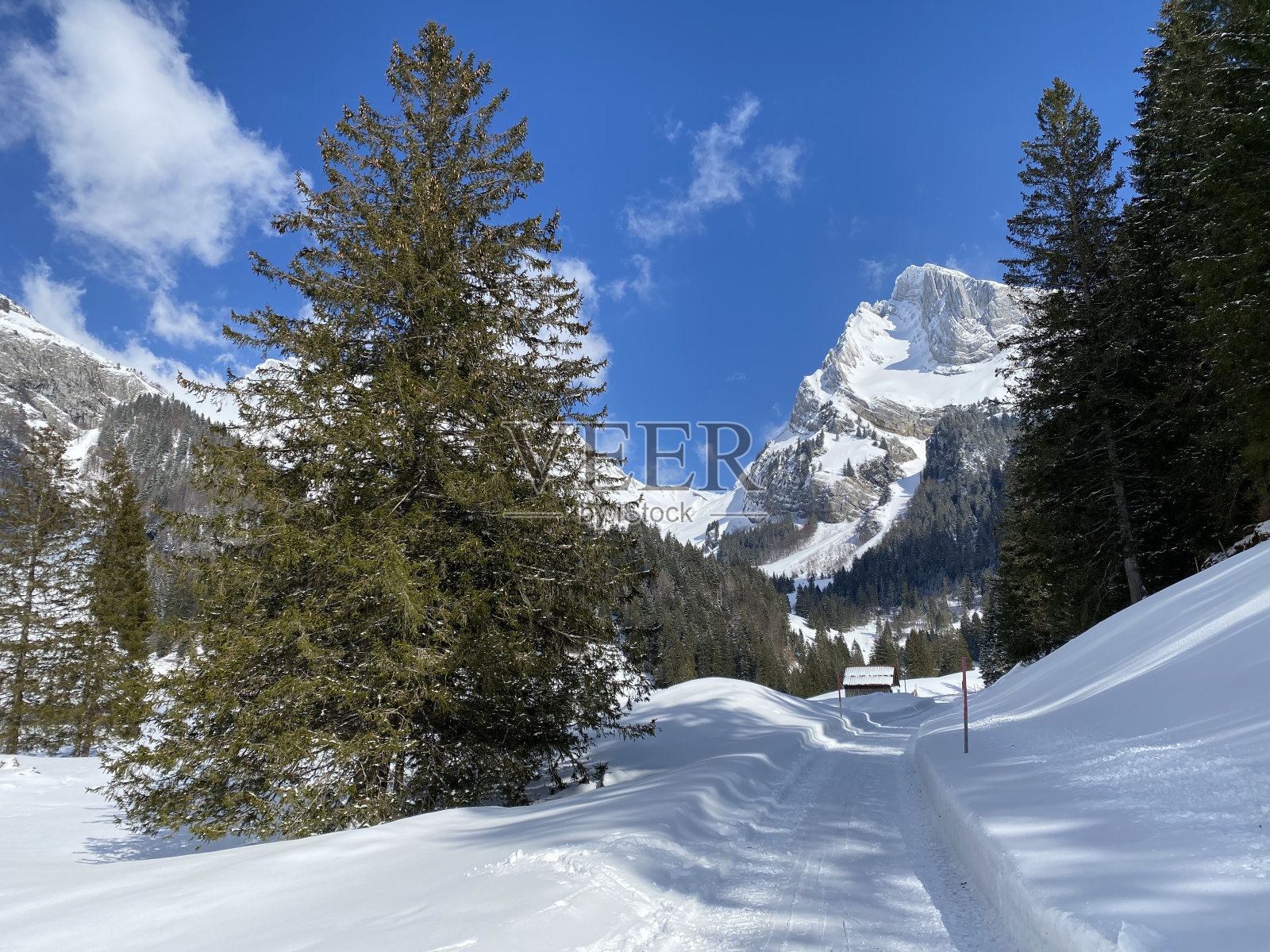 阿尔卑斯山脉和阿彭策尔阿尔卑斯山脉的阿尔卑斯山峰上的白色毯子,圣加仑州,瑞士(瑞士)照片摄影图片