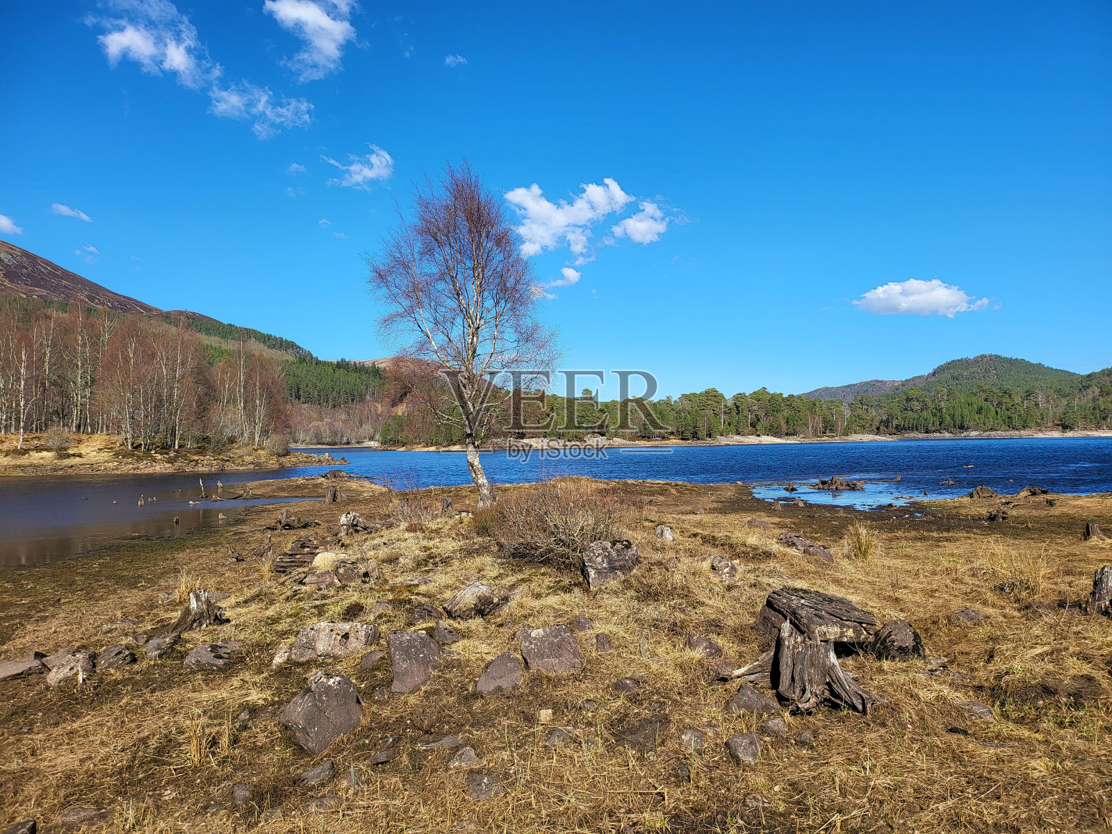 格伦非洲湖苏格兰卡尼什高地的湖泊照片摄影图片