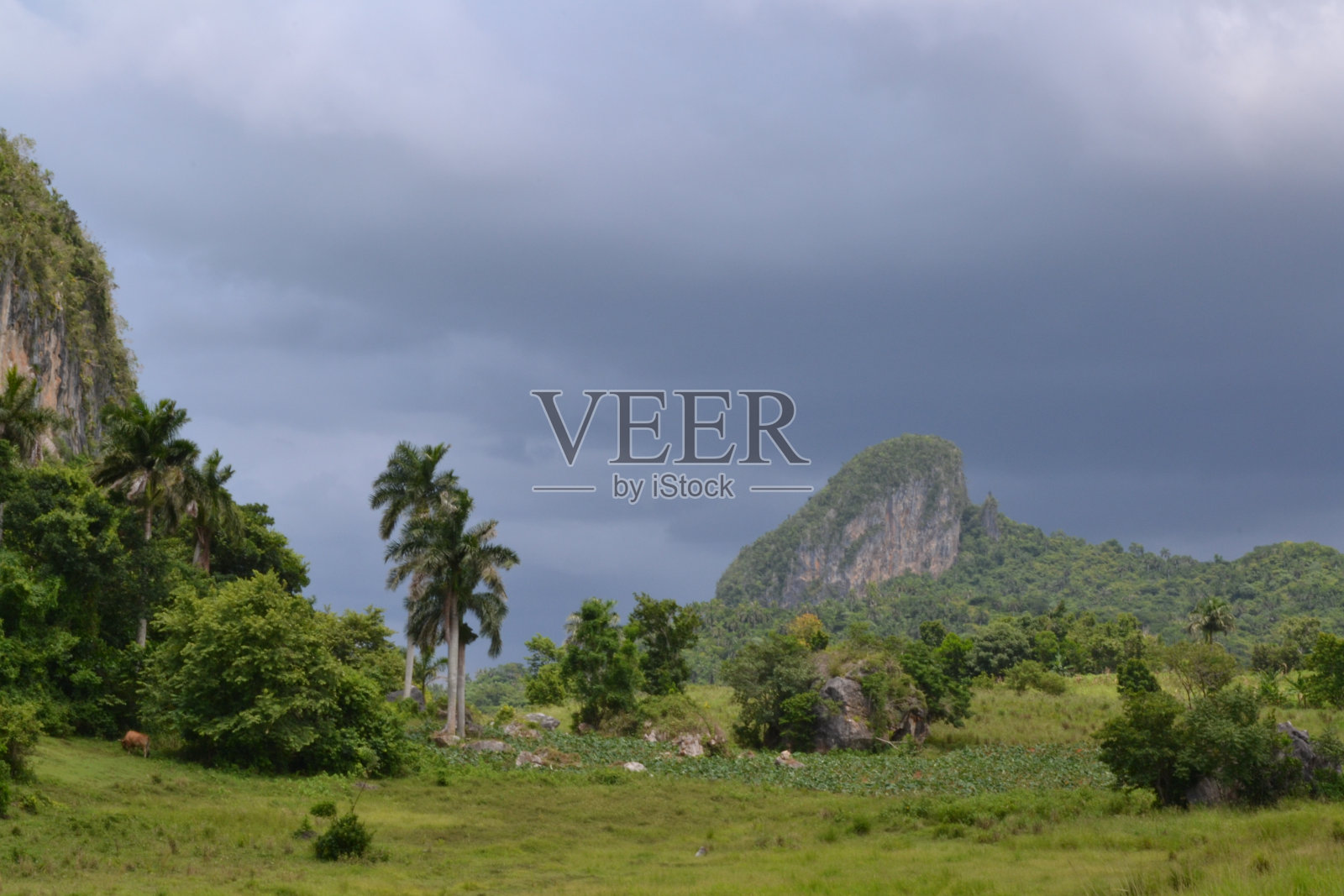 古巴的风景和mogote照片摄影图片