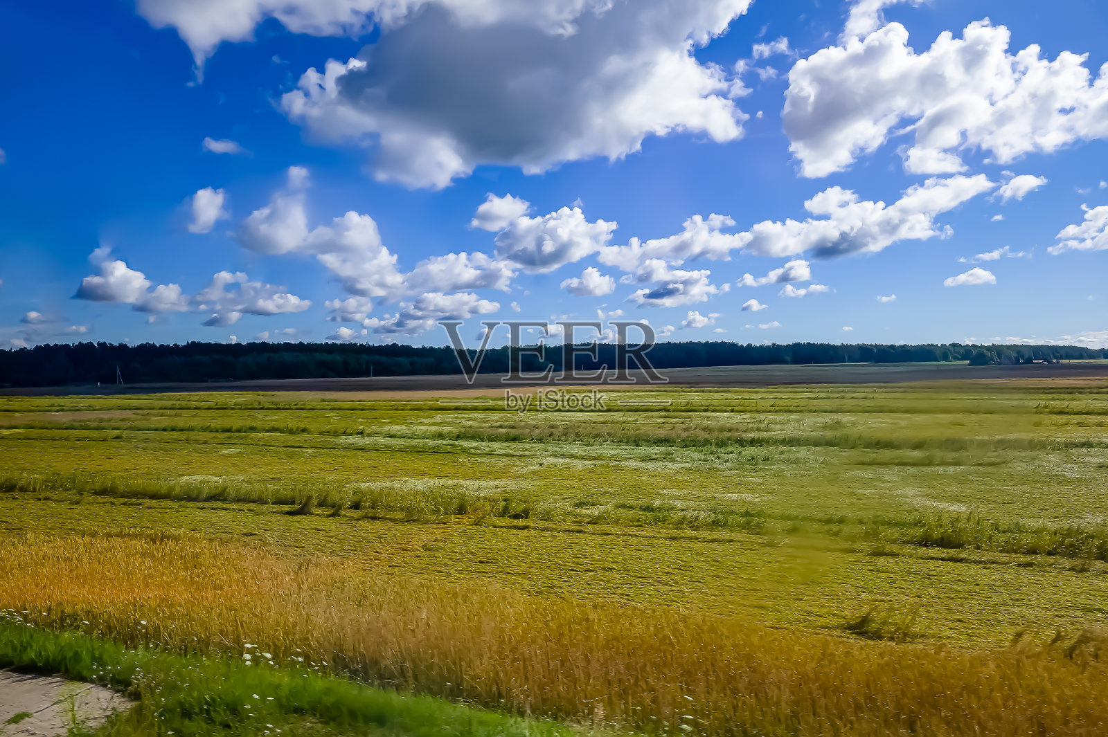 蓝天白云,黄绿田野。夏天。一个很好的背景照片摄影图片