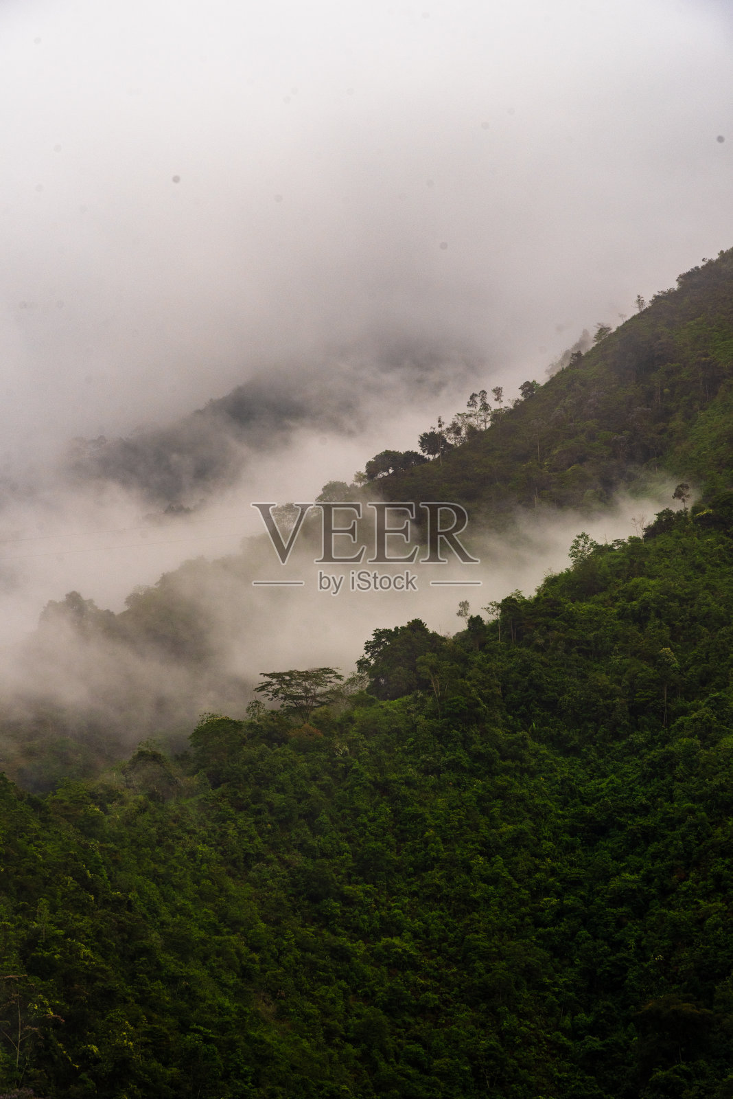 哥伦比亚安第斯山脉的雾照片摄影图片