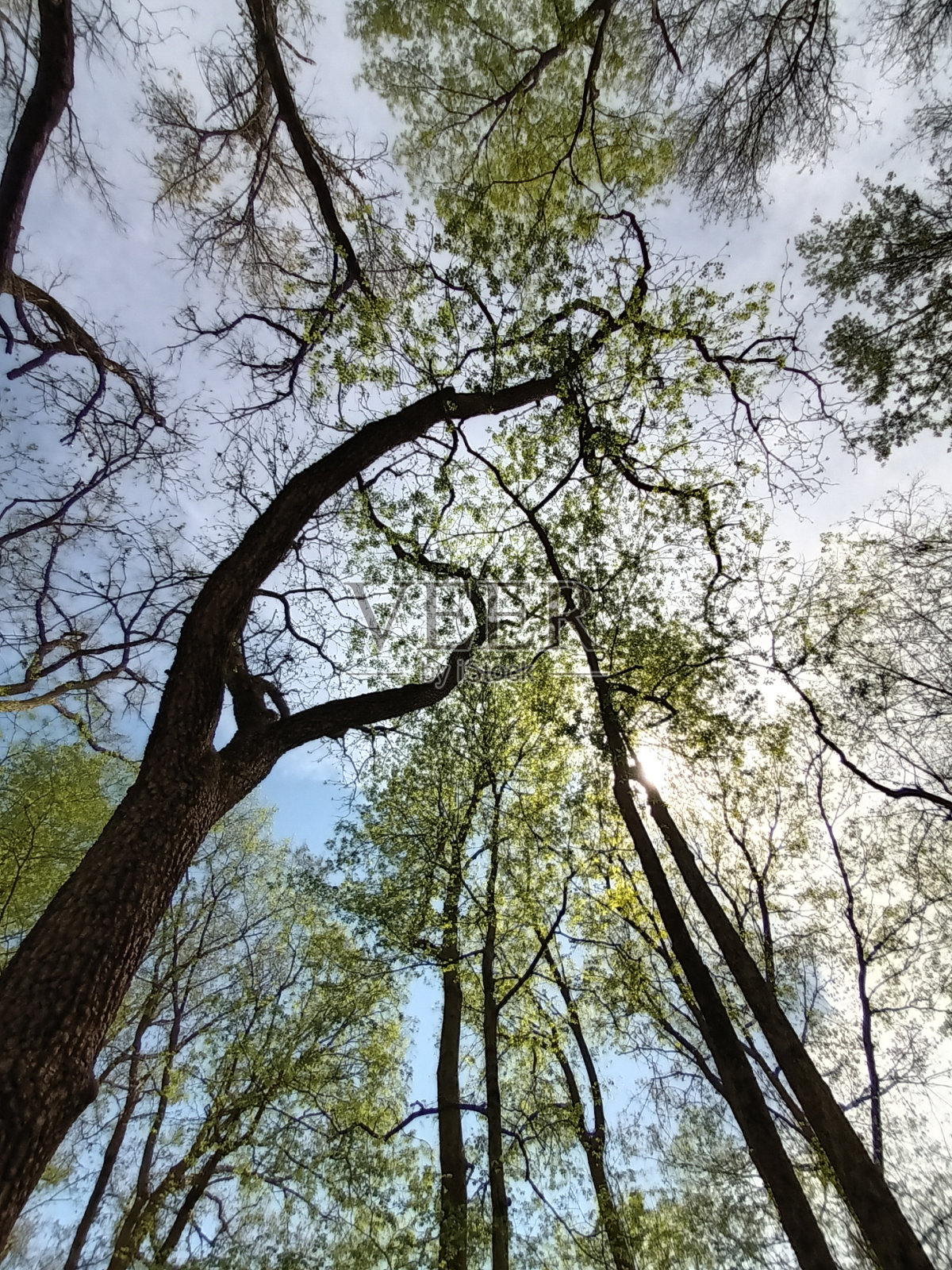 查找照片摄影图片