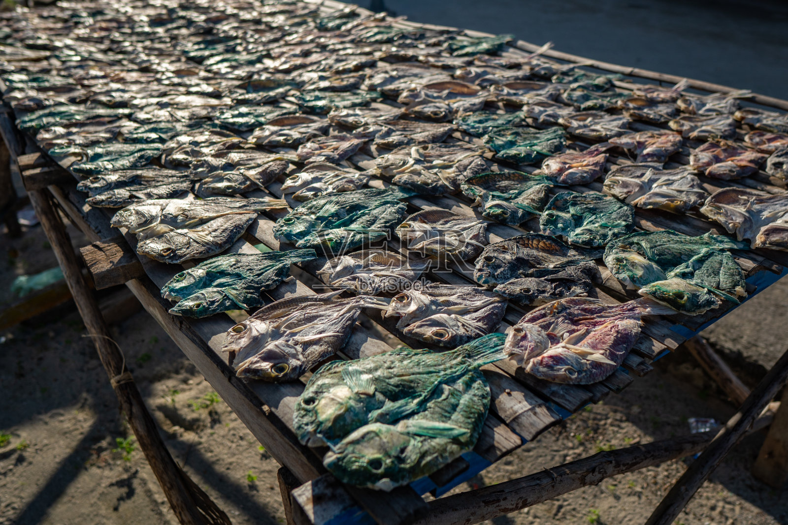 西兰东边有咸鱼干照片摄影图片