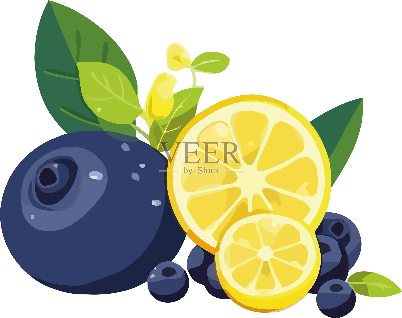 成熟的柑橘和蓝莓插画图片素材