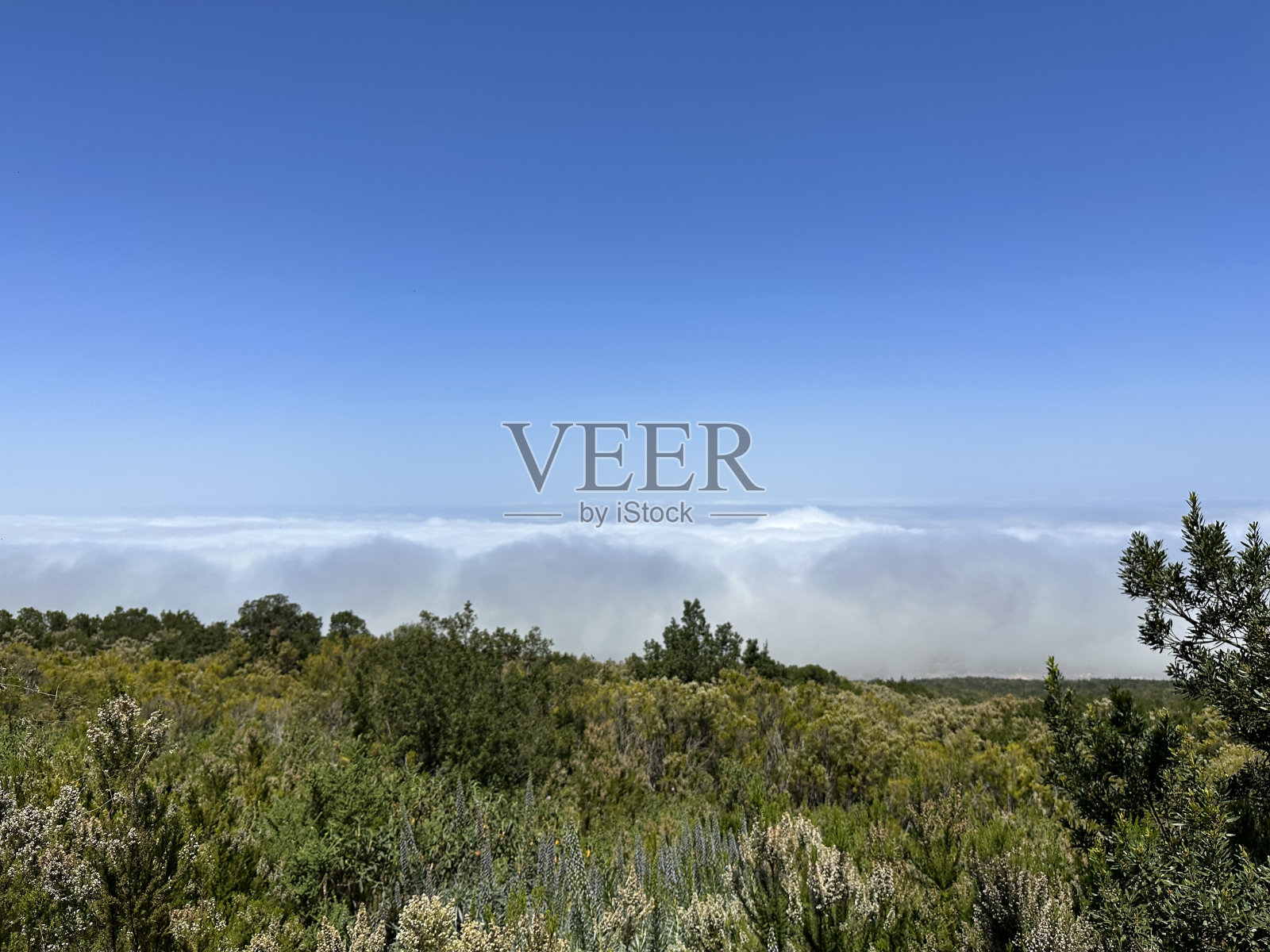 在云层之上照片摄影图片