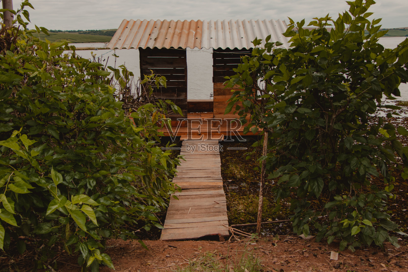 森林里的木制渔屋照片摄影图片