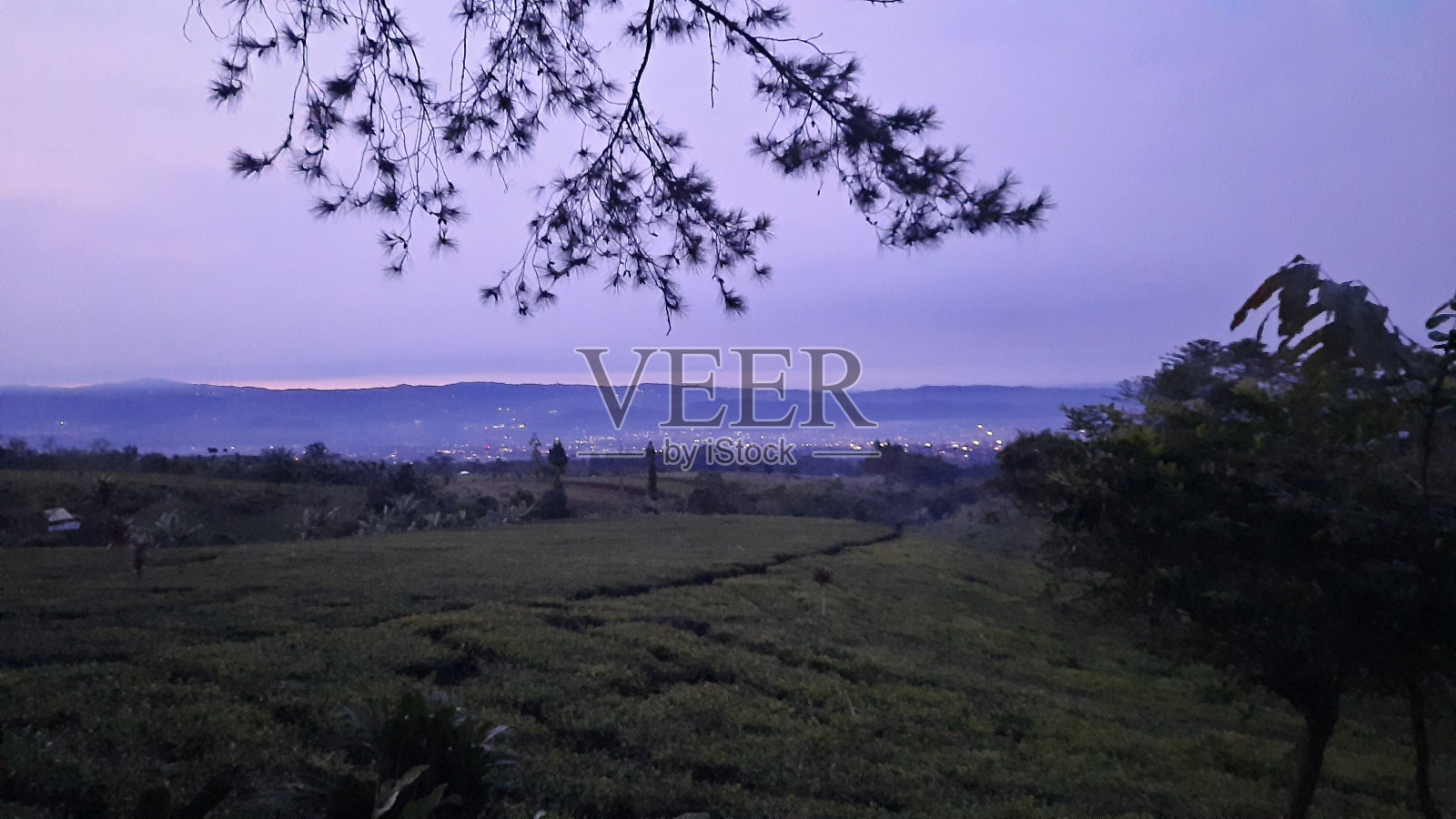 黄昏和害羞照片摄影图片