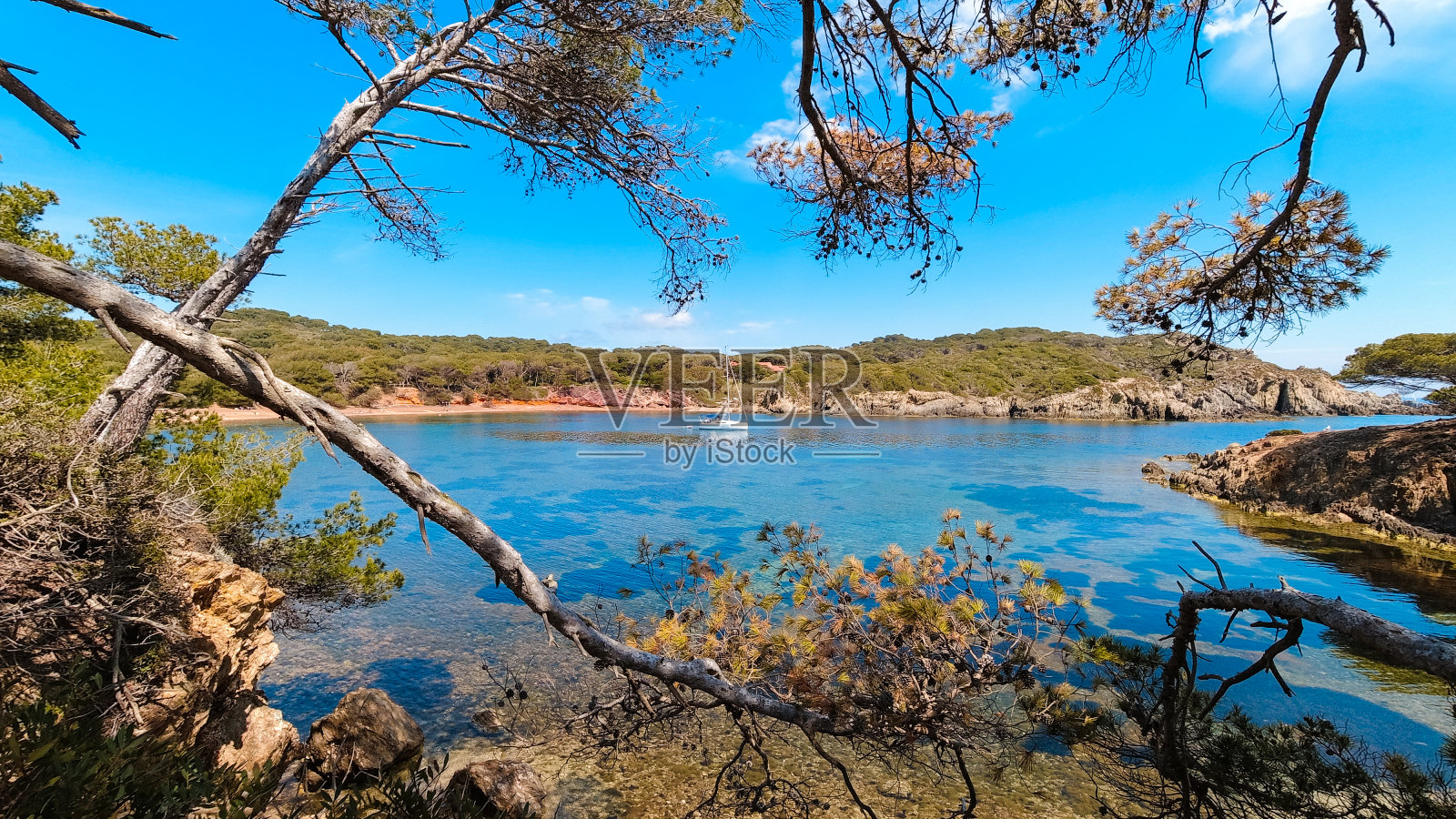 风景,夏季地中海和海滩的波克罗尔岛,在hy<s:1>,在瓦尔在法国照片摄影图片