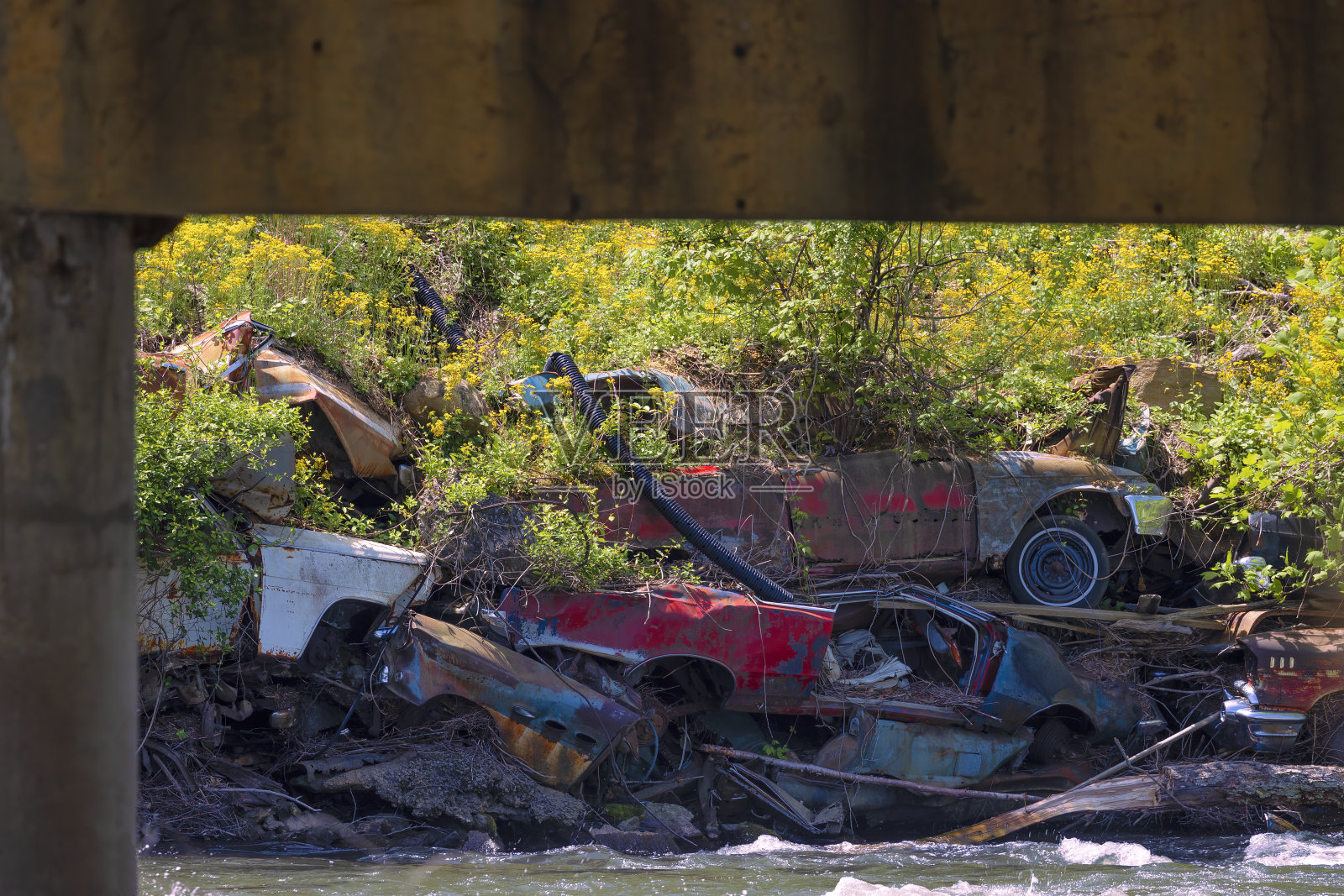 美国北卡罗来纳州河流侵蚀控制照片摄影图片