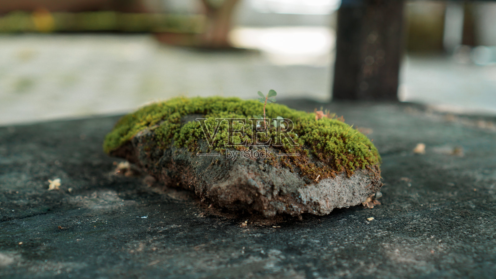 印尼的自然气息照片摄影图片