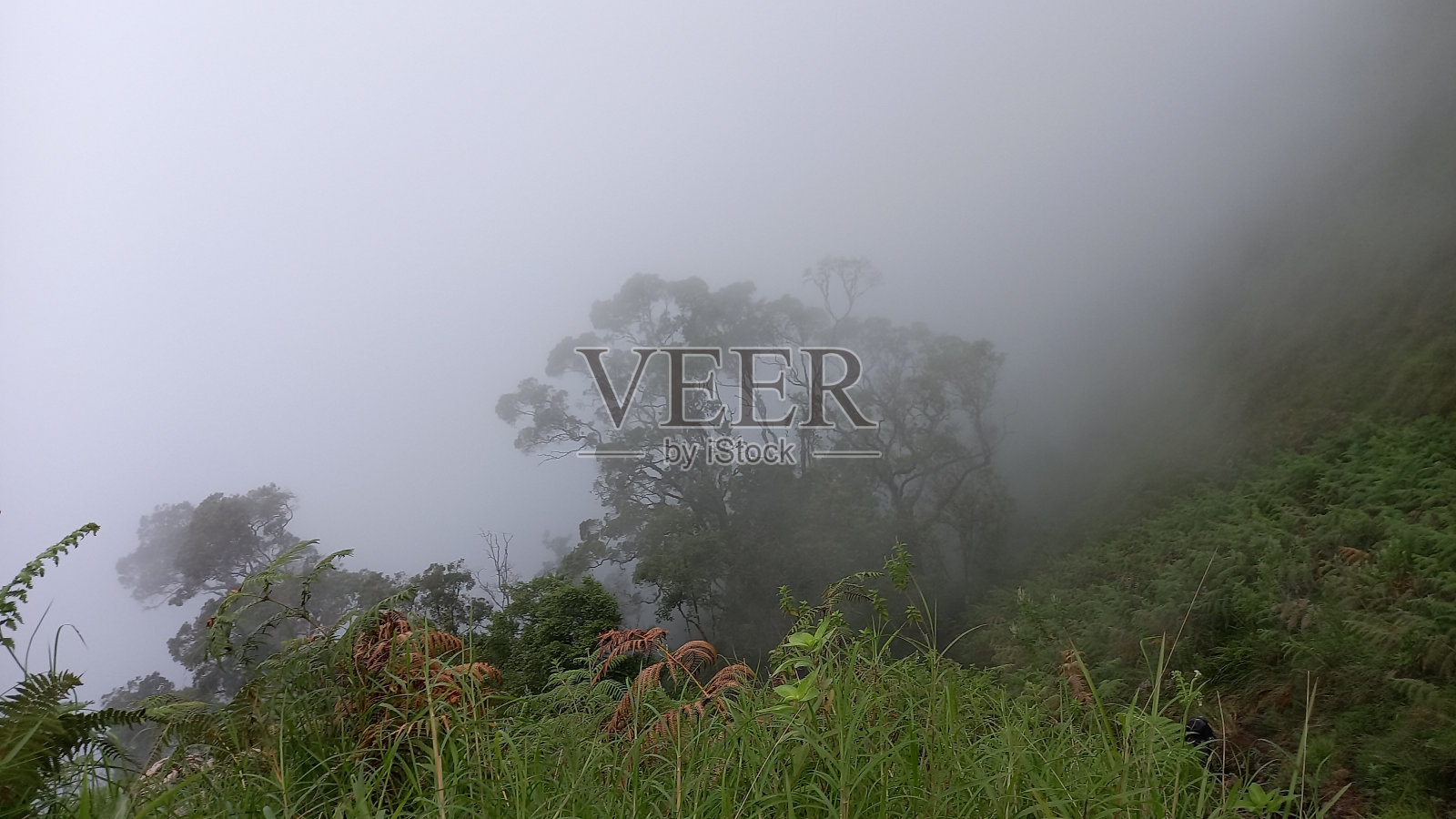 雾视图照片摄影图片