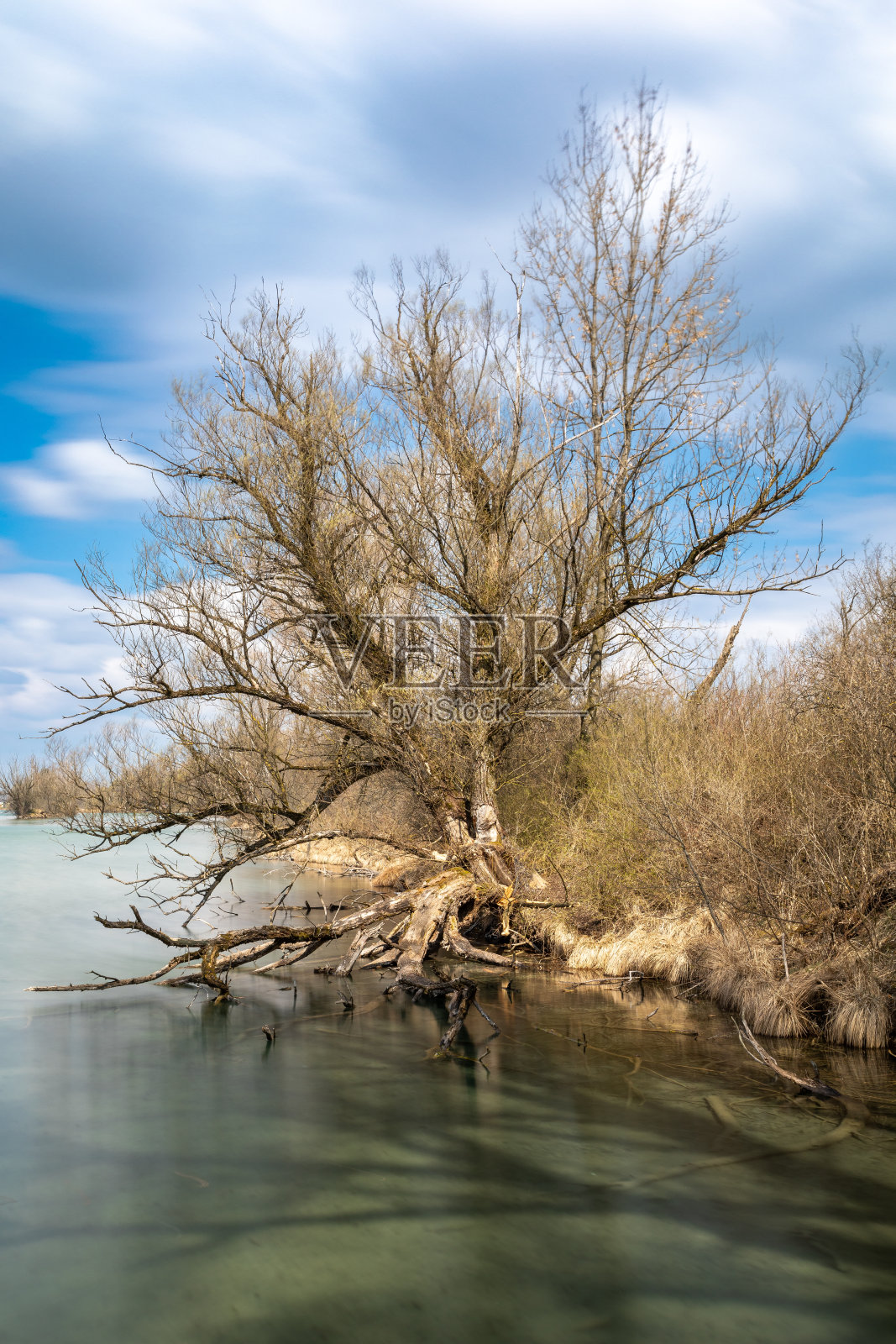 Weitmannsee湖中的岛屿照片摄影图片