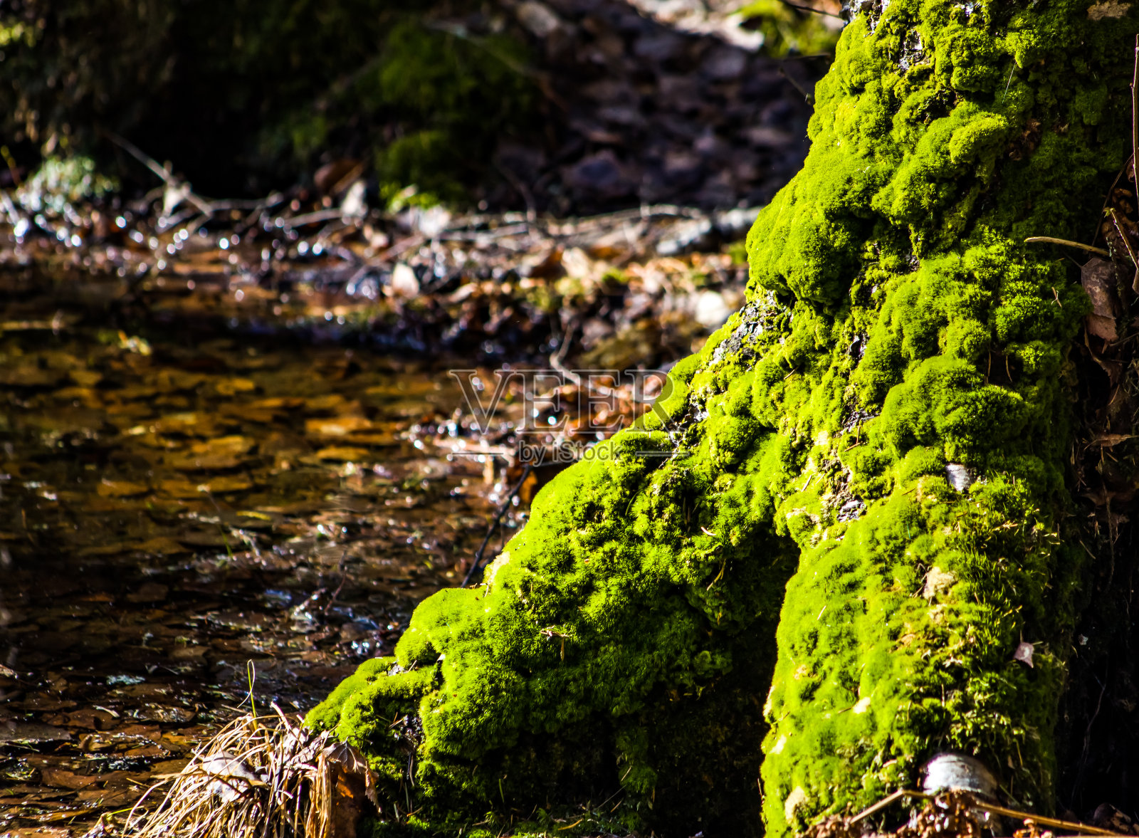 自然照片摄影图片