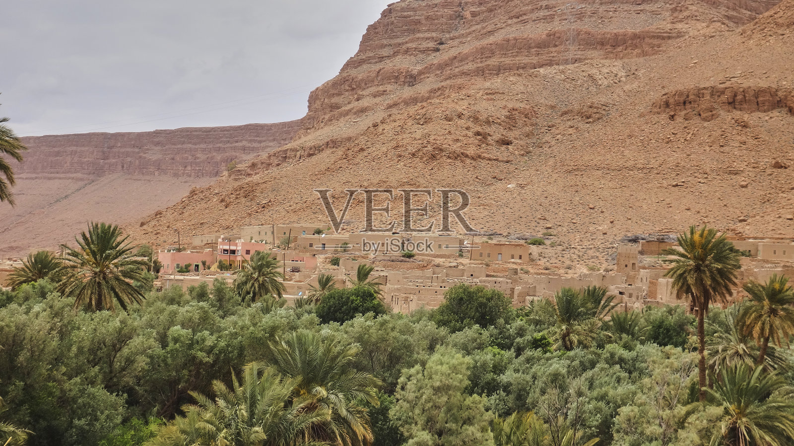 摩洛哥美丽的沙漠绿洲,椰枣棕榈树。照片摄影图片