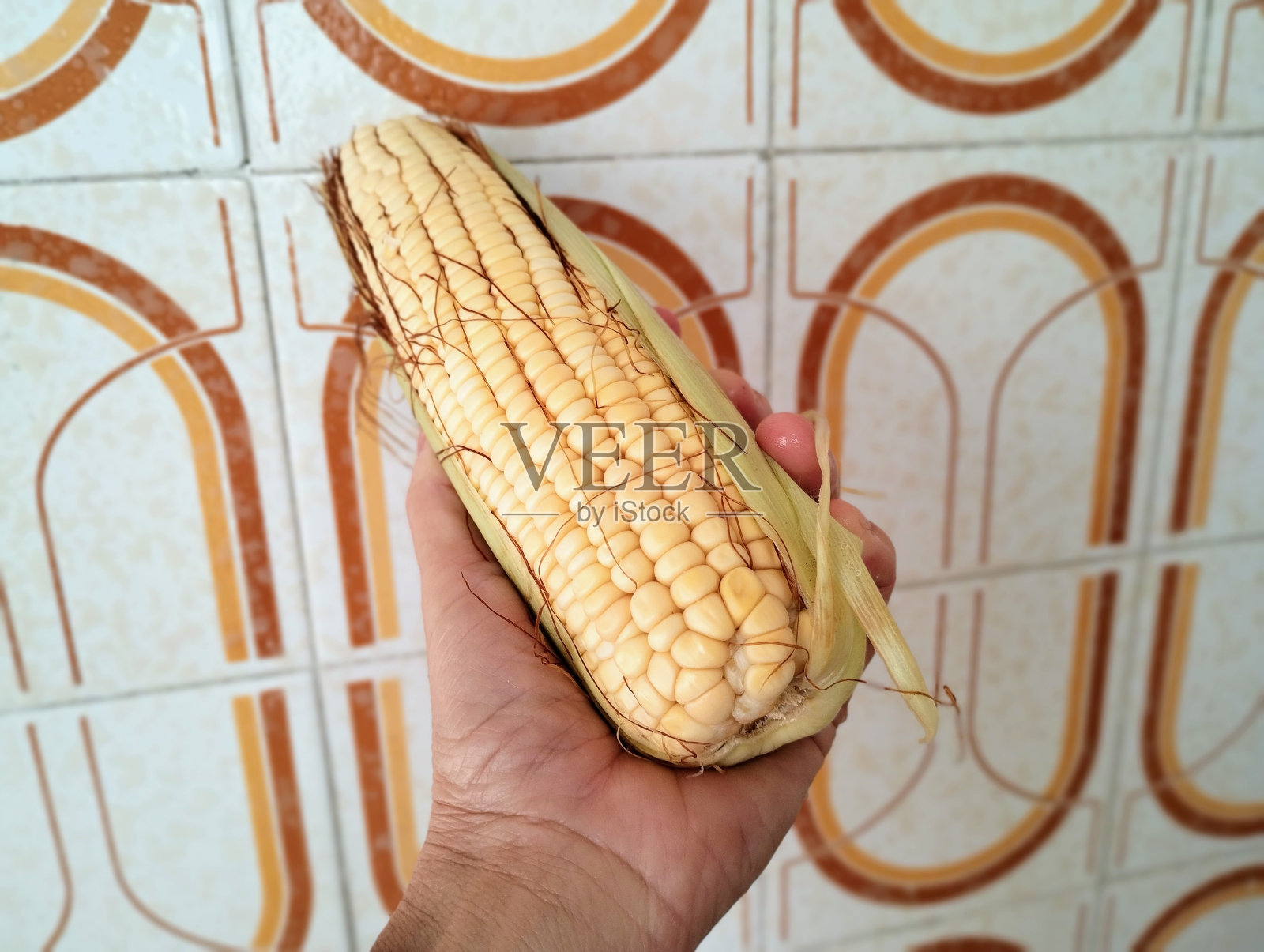 玉米棒照片摄影图片